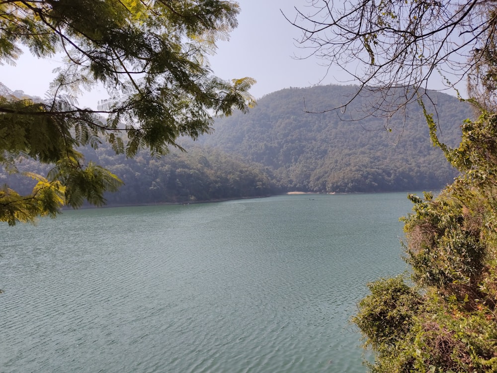 a large body of water surrounded by trees