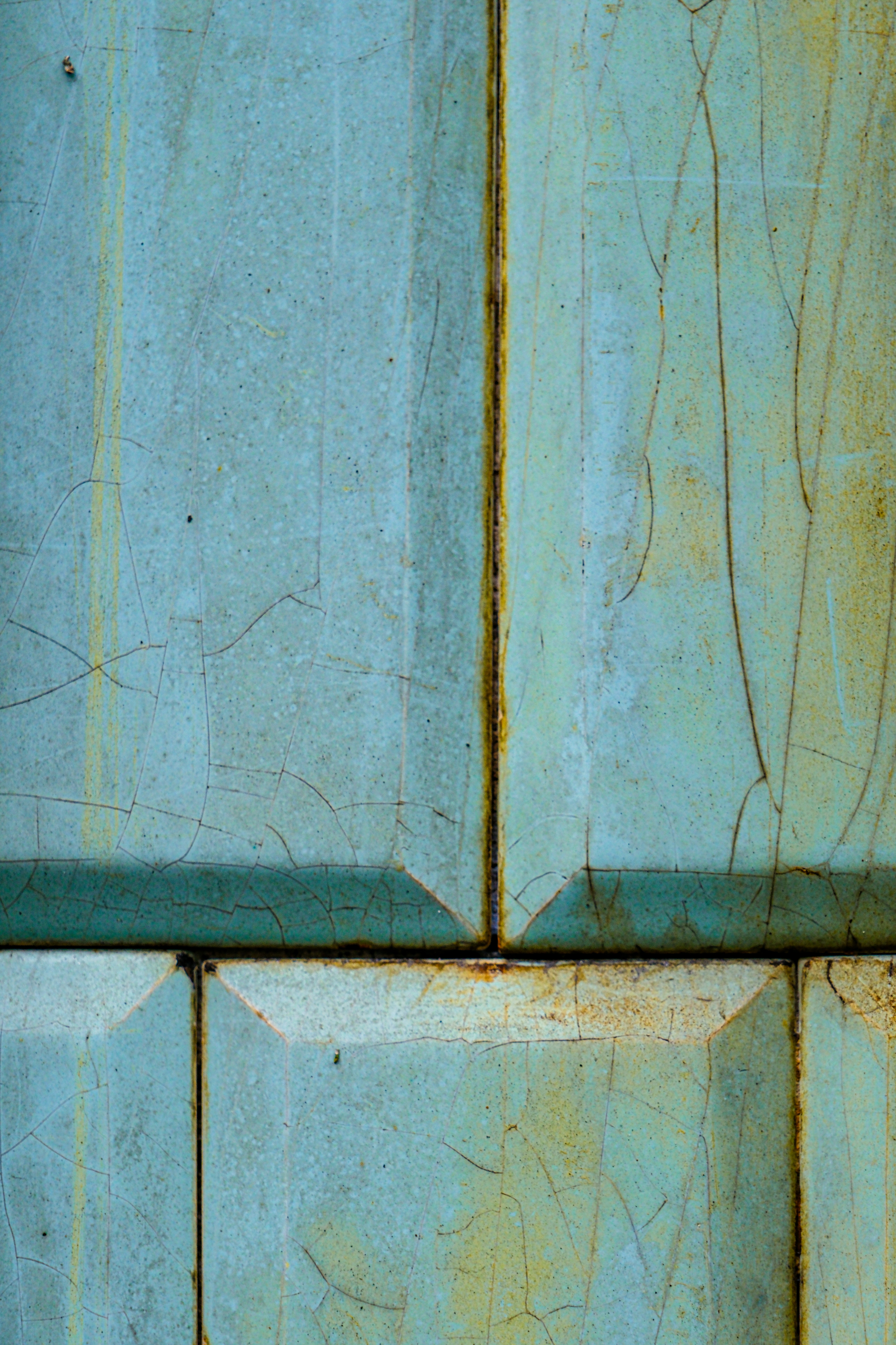 Photo by cestmoisheedy