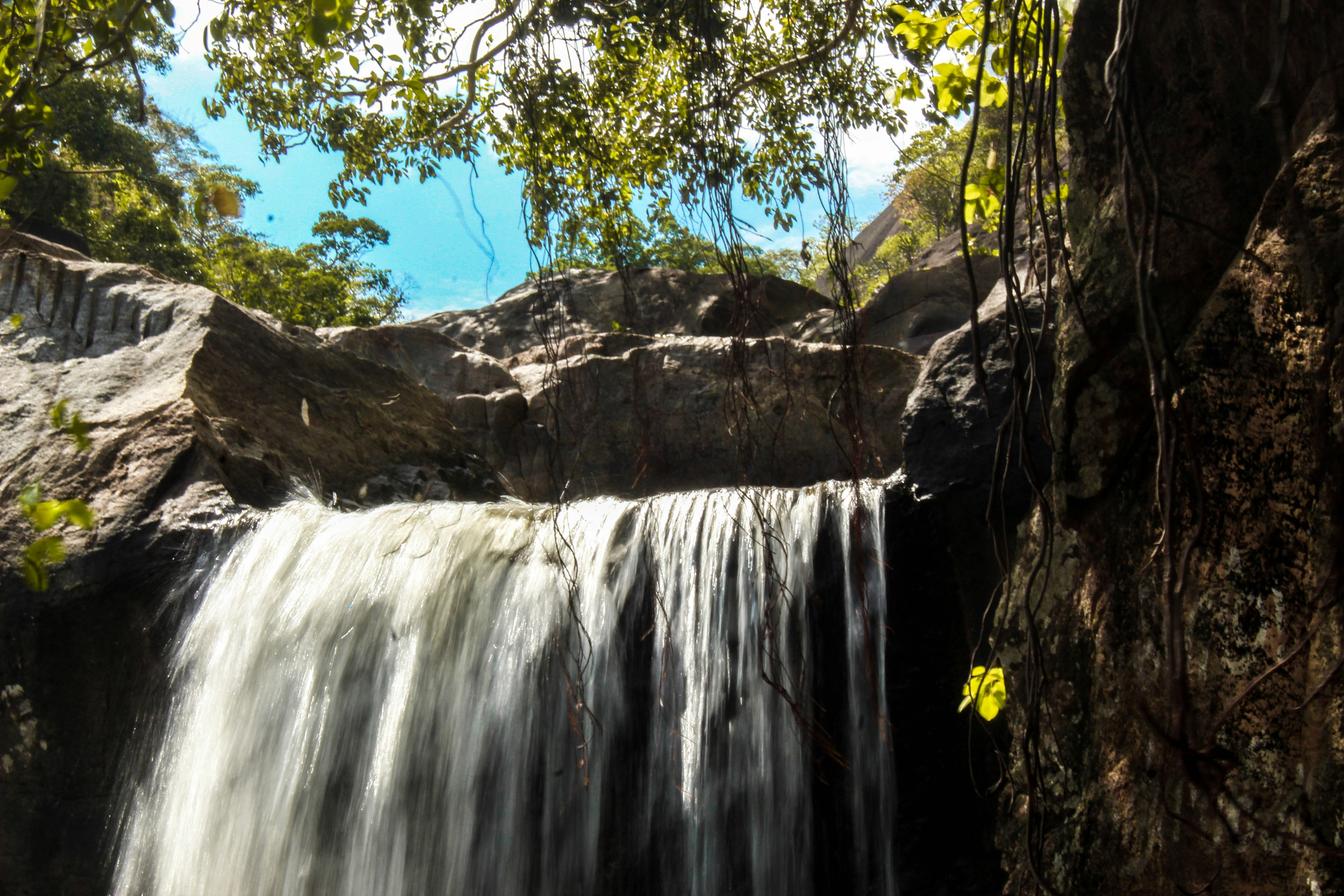 Photo by linsartistry