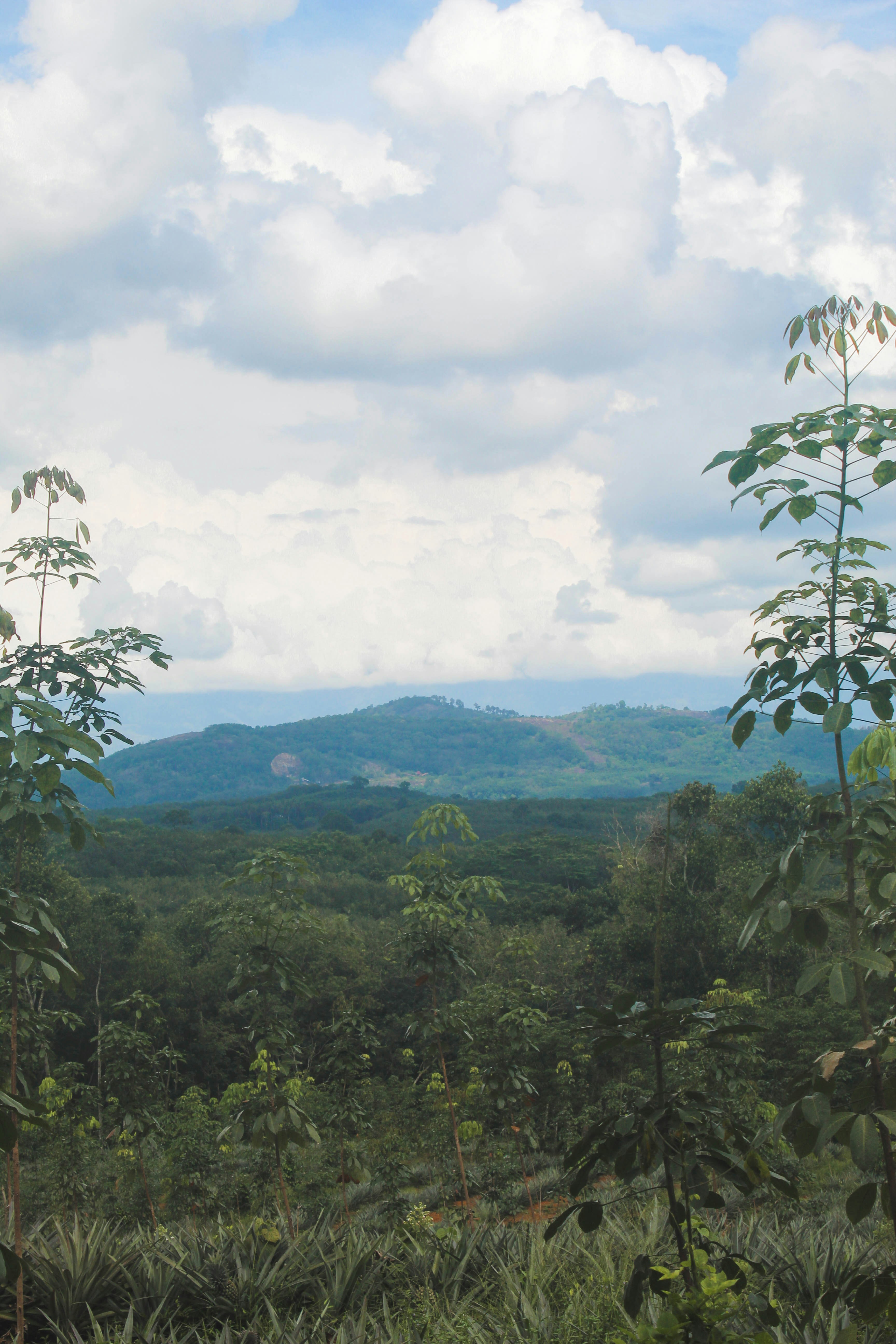 Photo by linsartistry