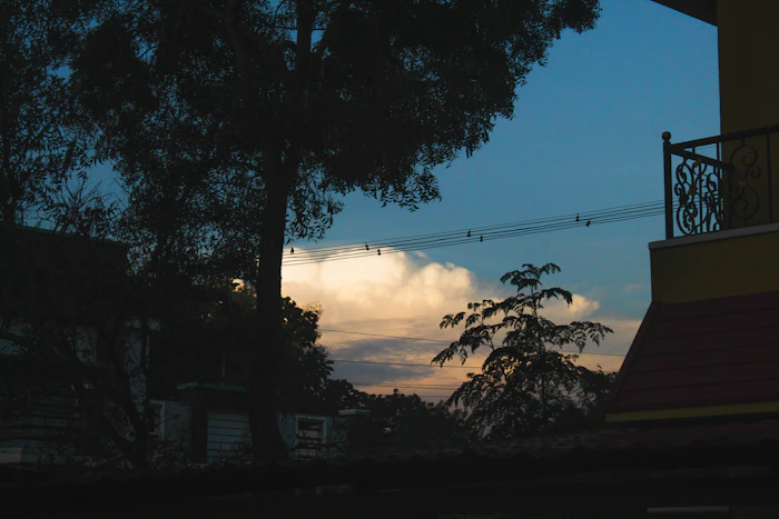 Best Rooftop Cafes in Nagercoil With Views Worth the Climb