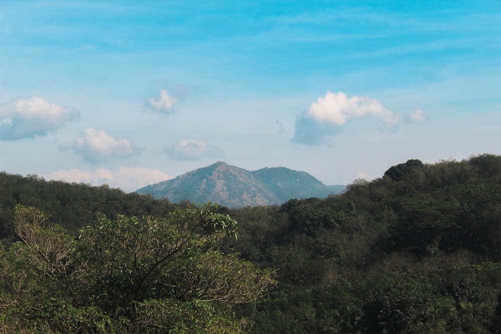 a view of a mountain range in the distance