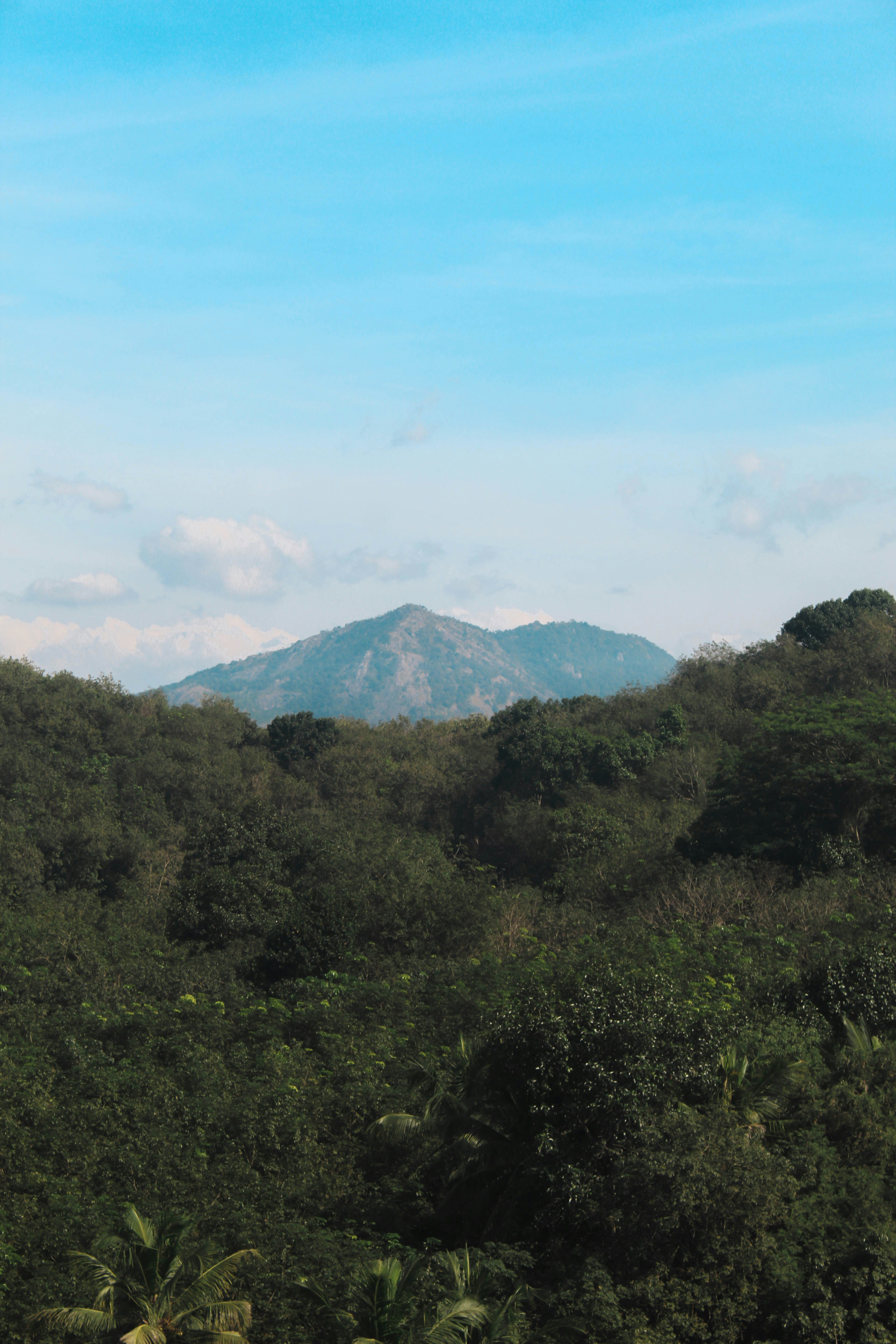 Photo by linsartistry