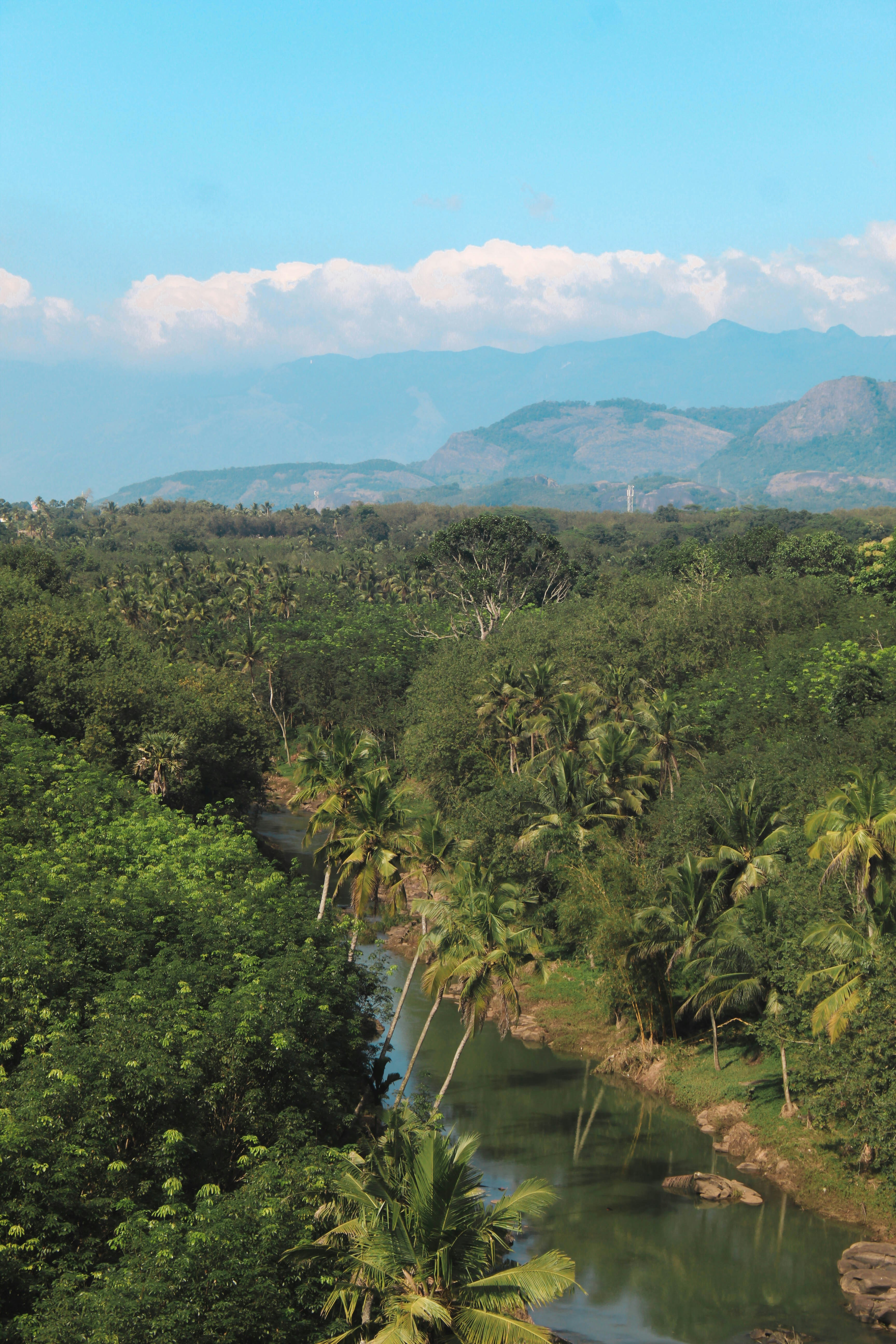 Photo by linsartistry