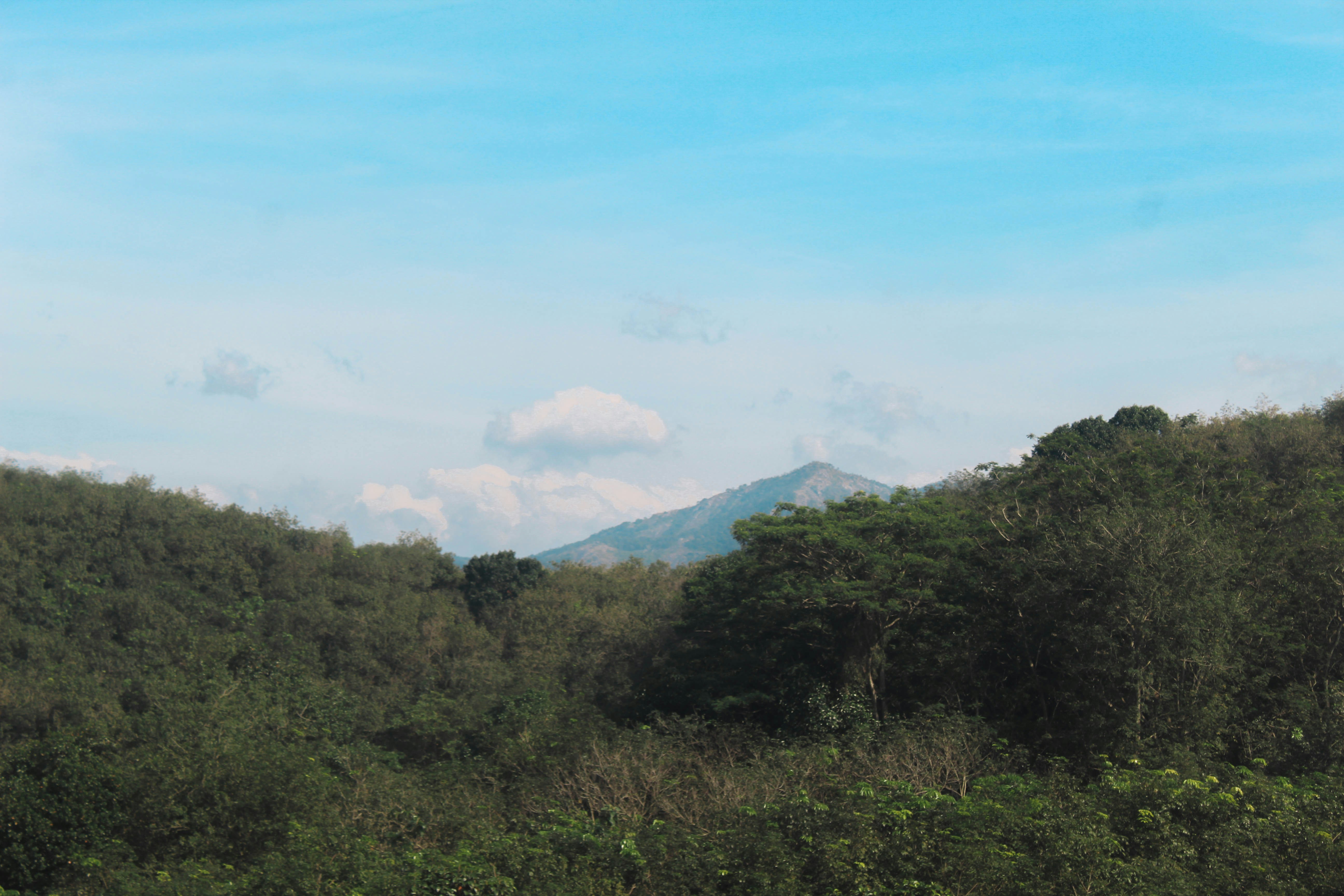 Photo by linsartistry