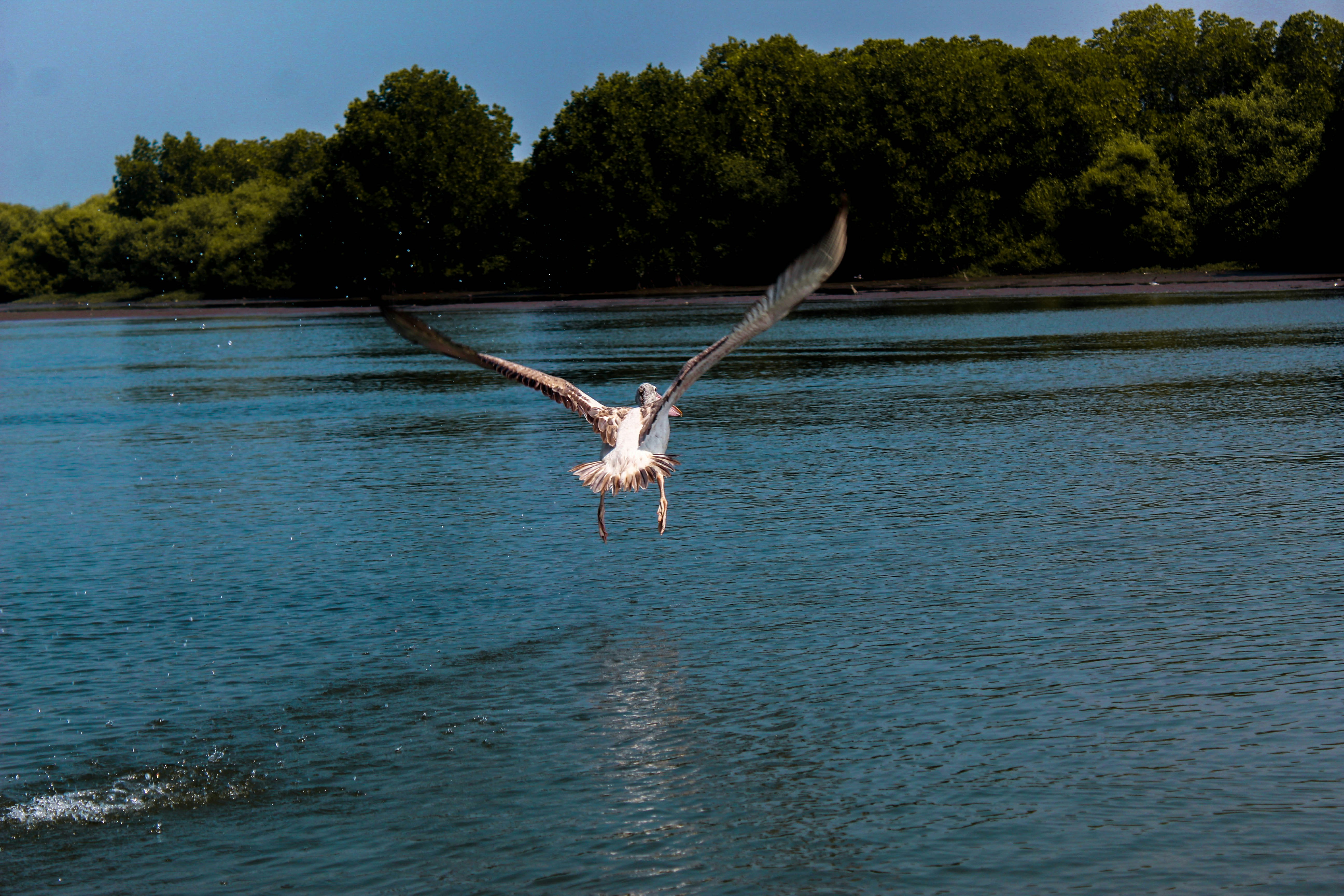 Photo by linsartistry