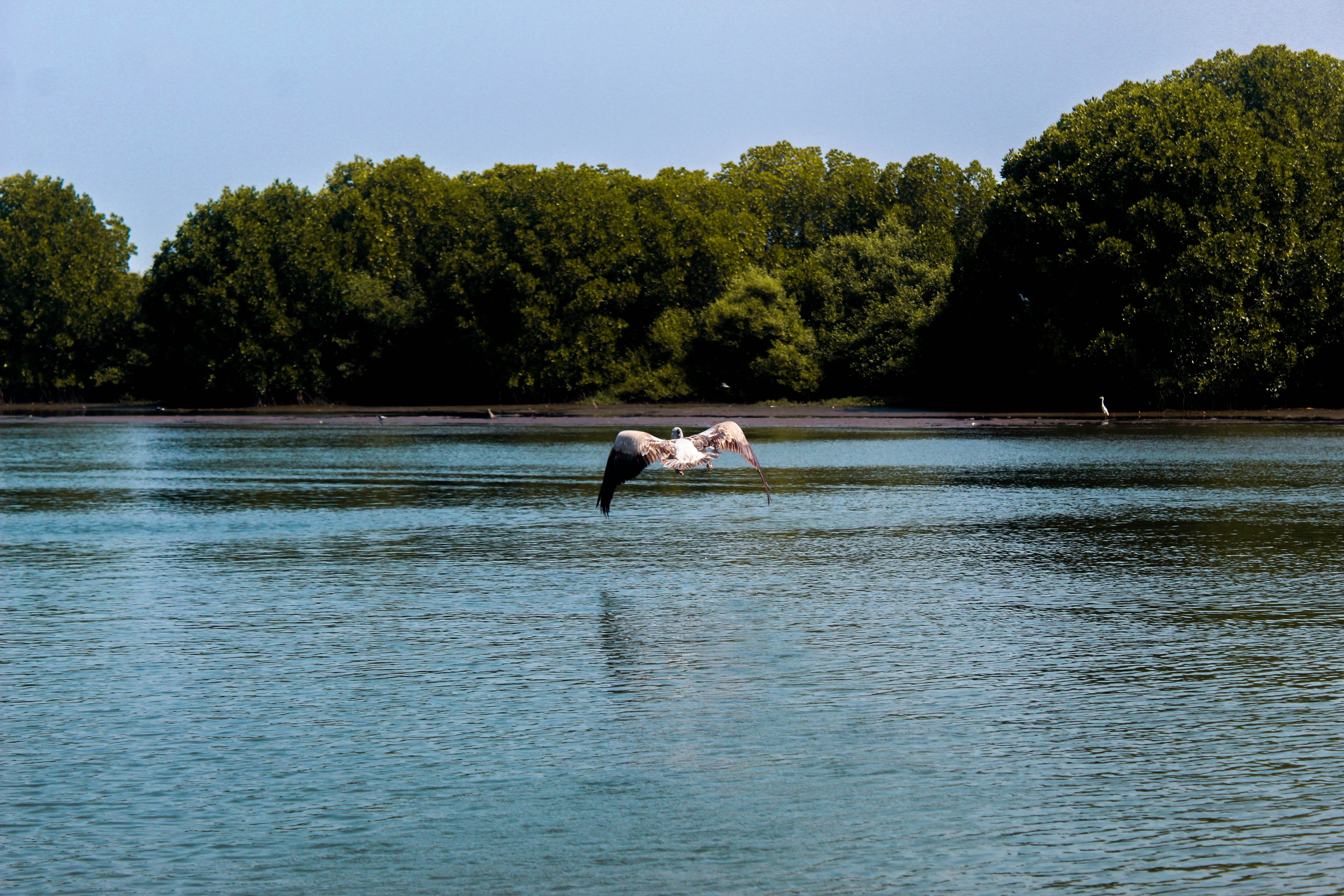 Photo by linsartistry