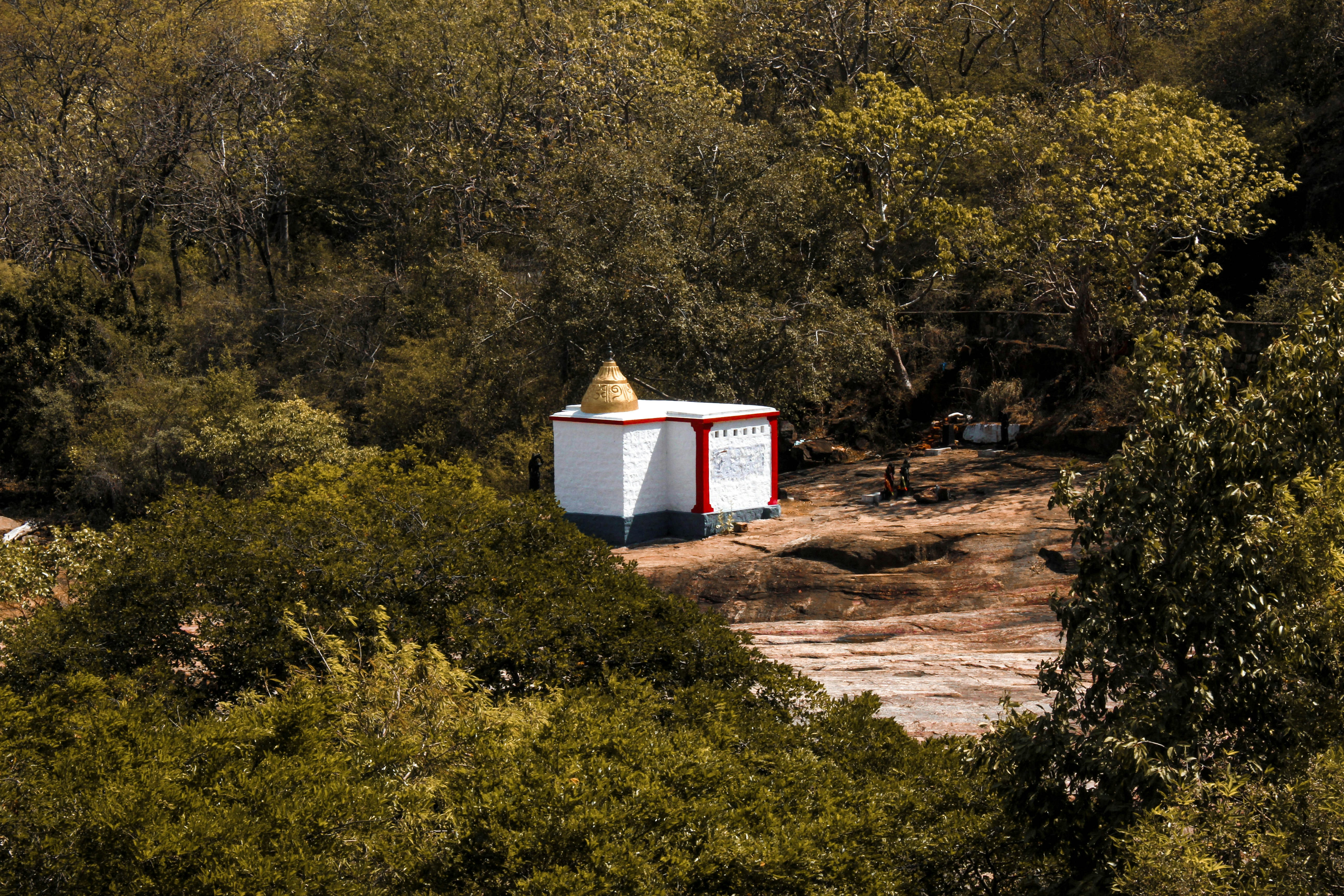 Photo by linsartistry