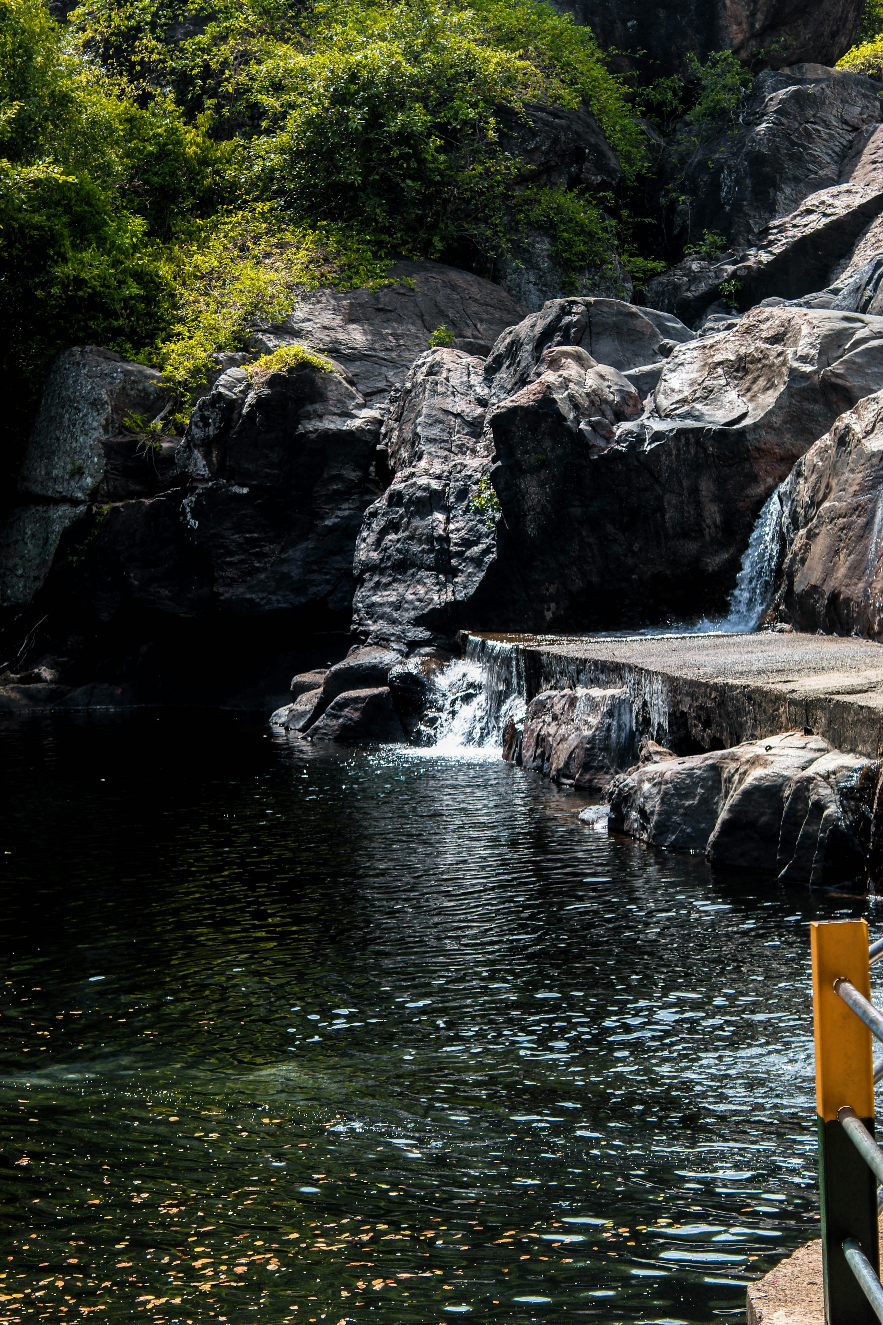 Photo by linsartistry