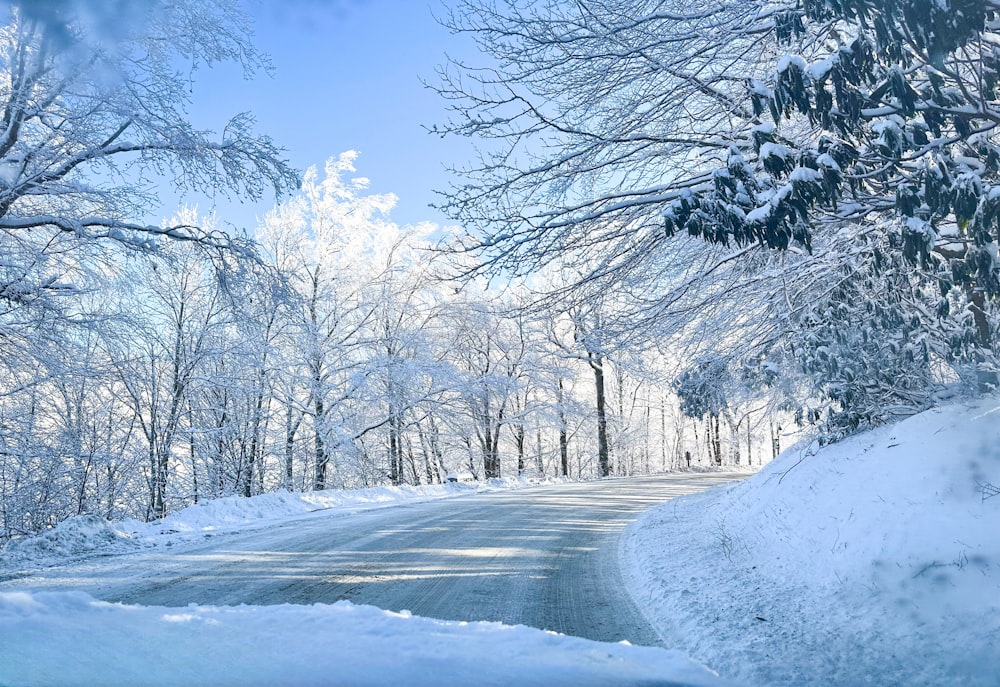 a snow covered road surrounded by trees and snow
