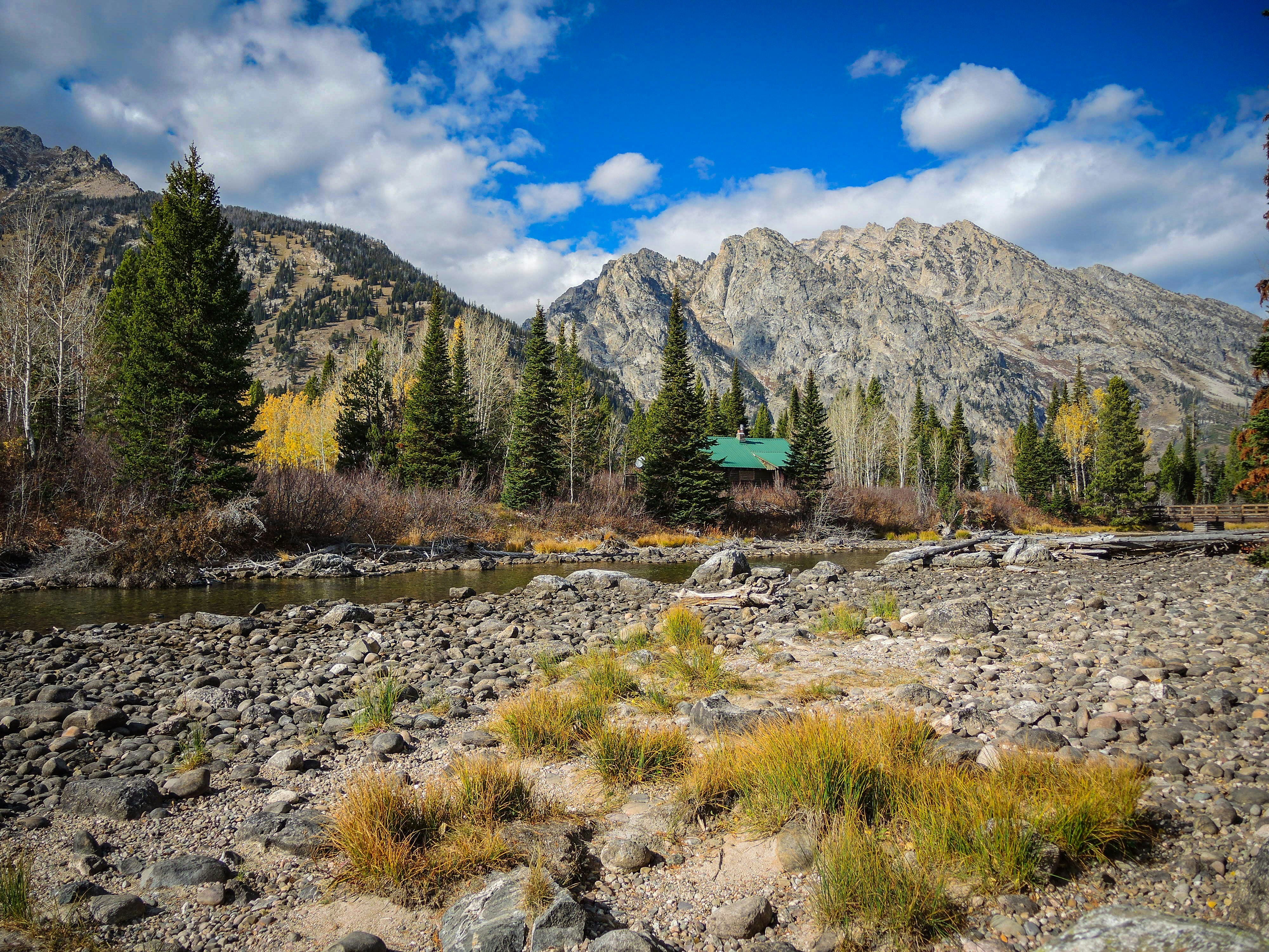 a river running through a forest with mountains in the background