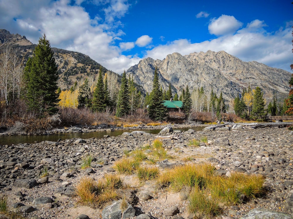 a river running through a forest with mountains in the background