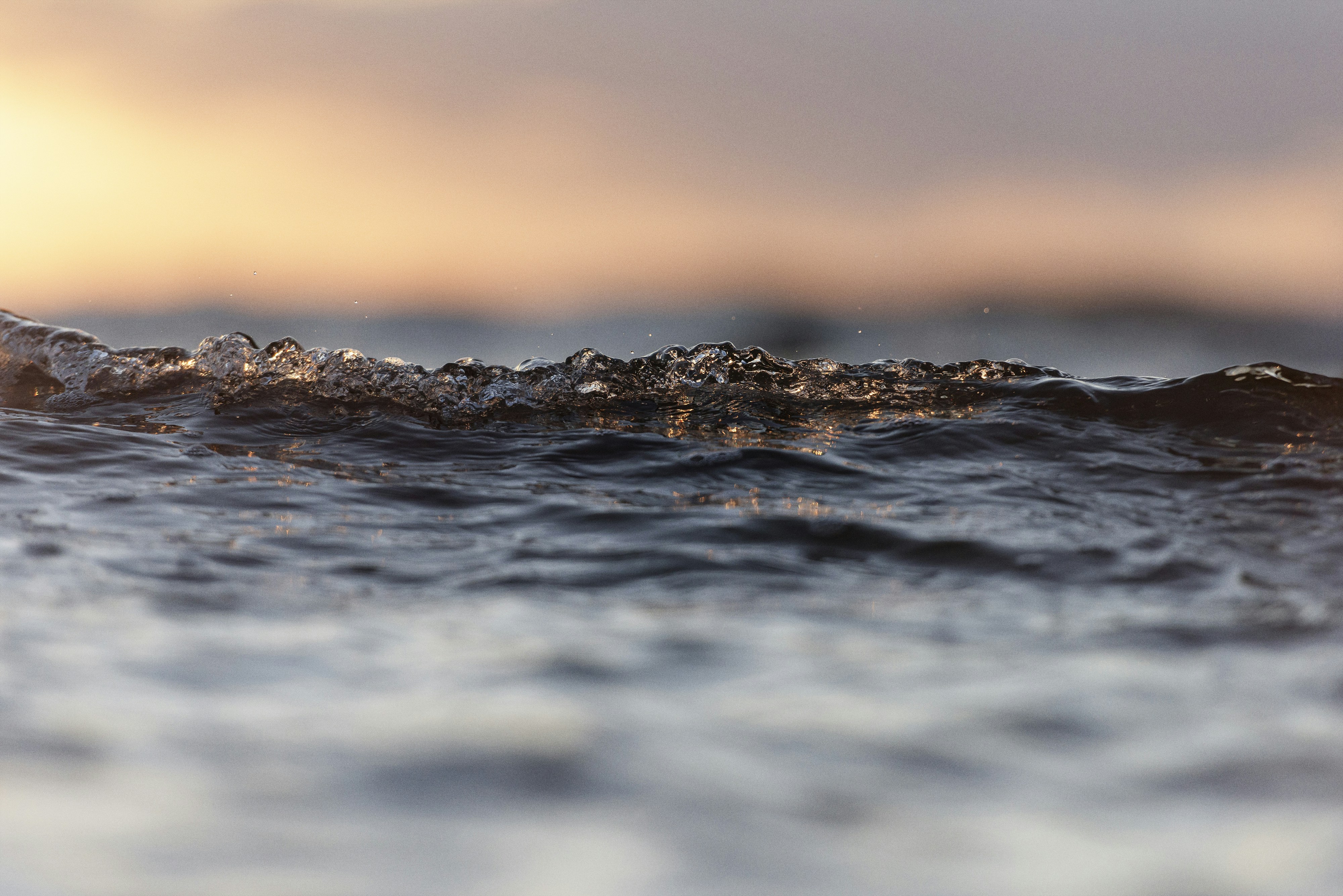 Water, Water, Everywhere (image credits: unsplash)