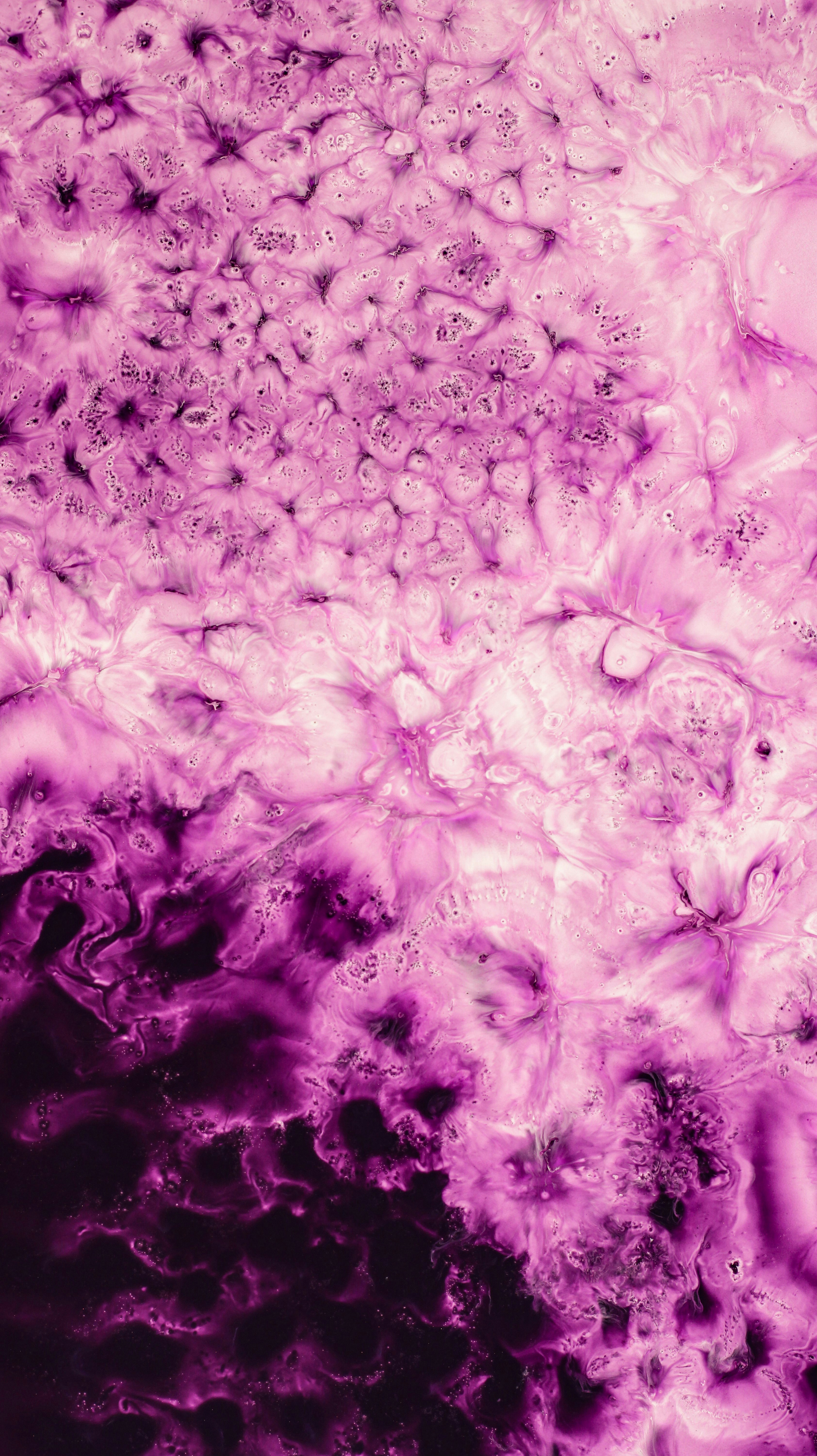 Photo by susan_wilkinson