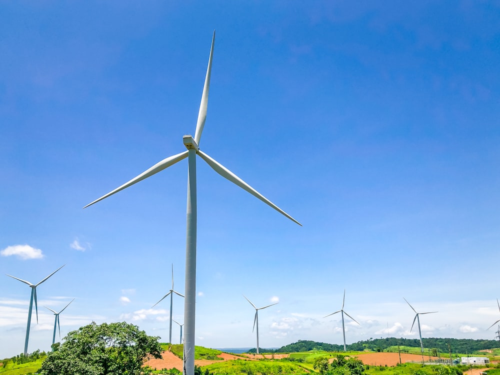 a group of wind turbines in a field