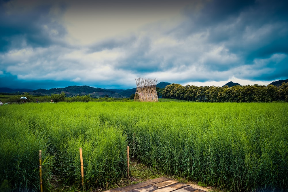 a field with a wooden structure in the middle of it