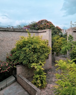 a garden with a lot of trees and bushes
