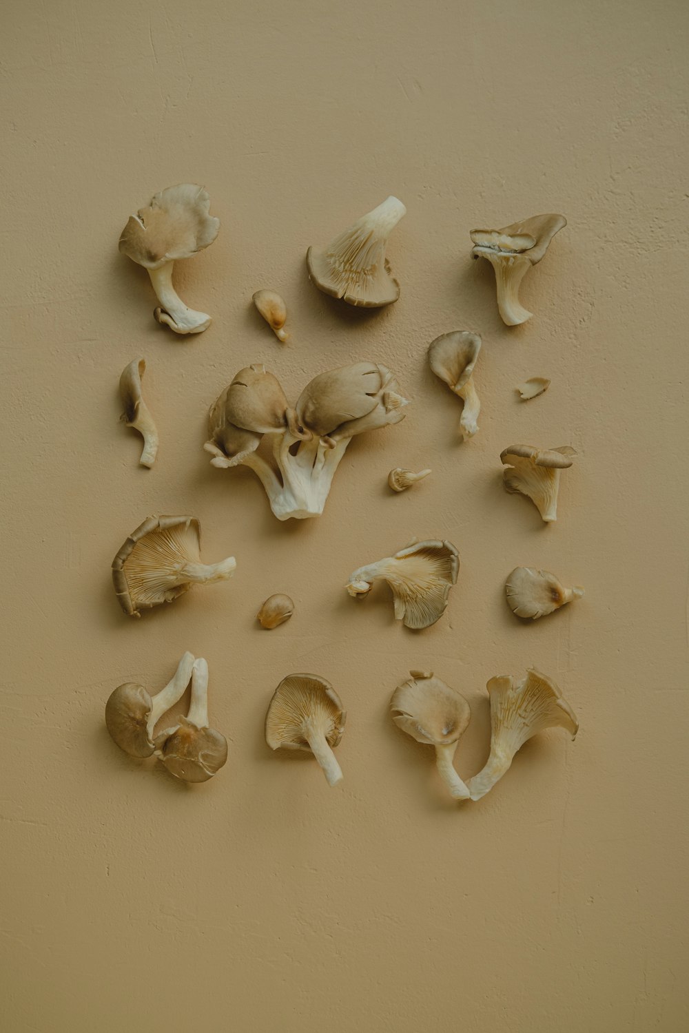 un groupe de champignons sur une surface brune