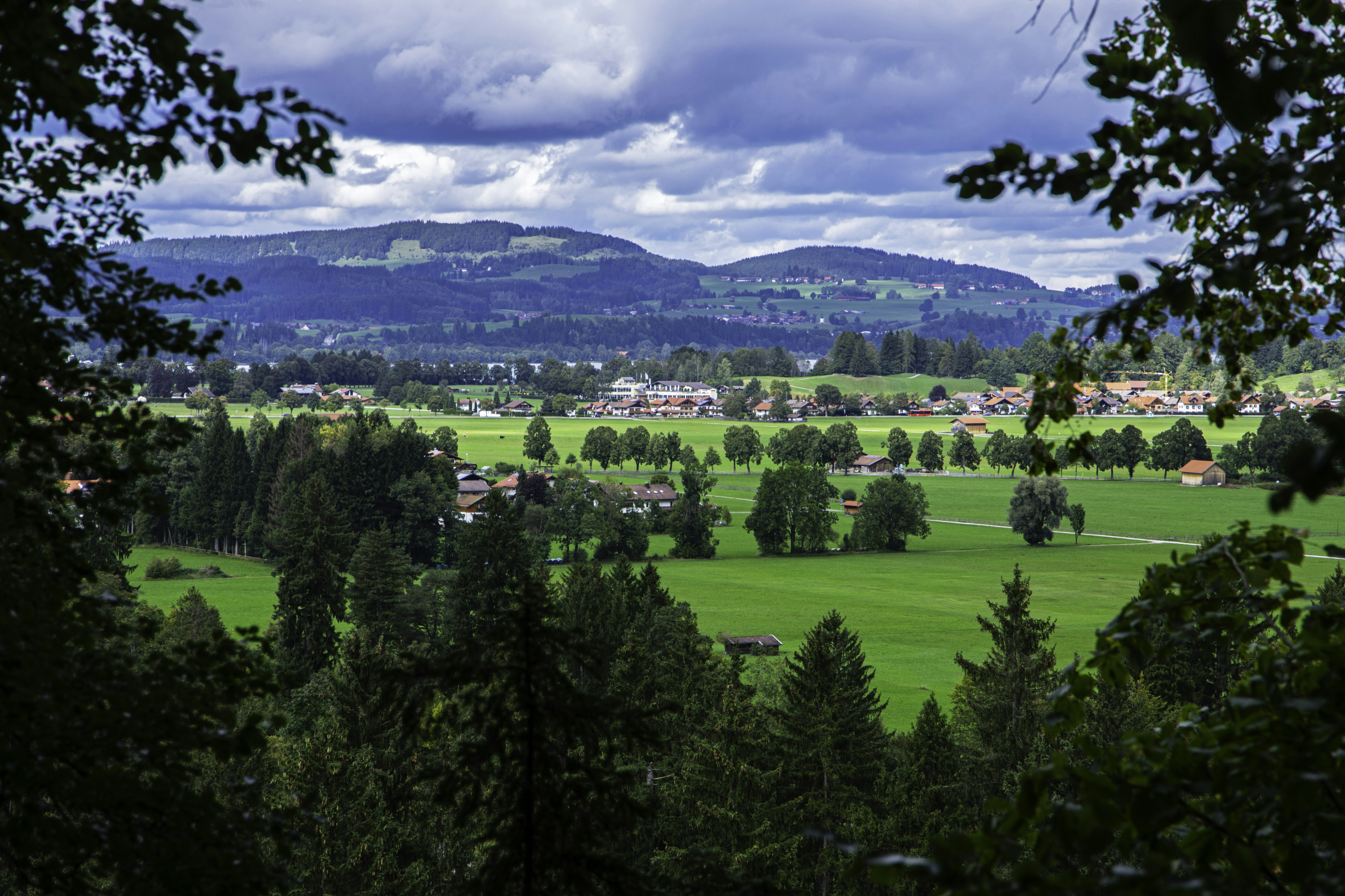 a lush green field surrounded by trees under a cloudy sky, 