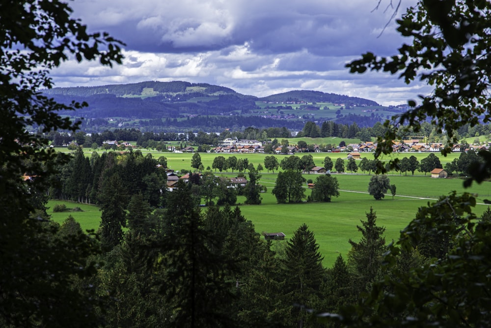 a lush green field surrounded by trees under a cloudy sky