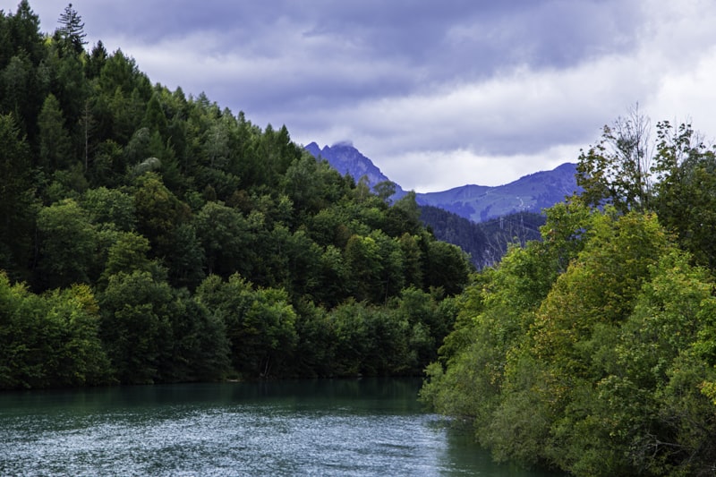 Medieval castle on a river surrounded by trees with mountain backdrop