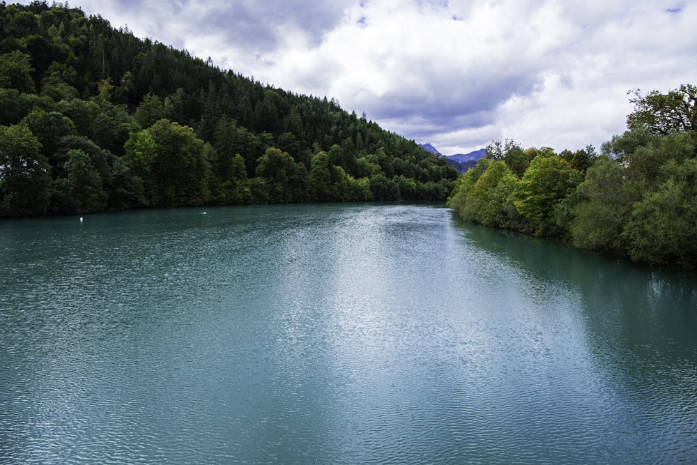 Un cuerpo de agua rodeado de árboles y montañas