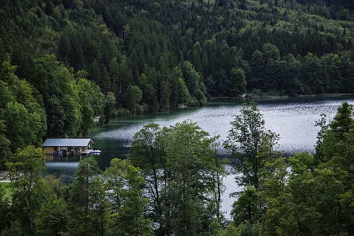 a lake surrounded by trees with a boat house in the middle