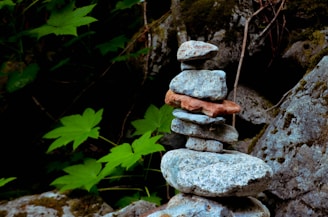 a pile of rocks sitting on top of a lush green forest