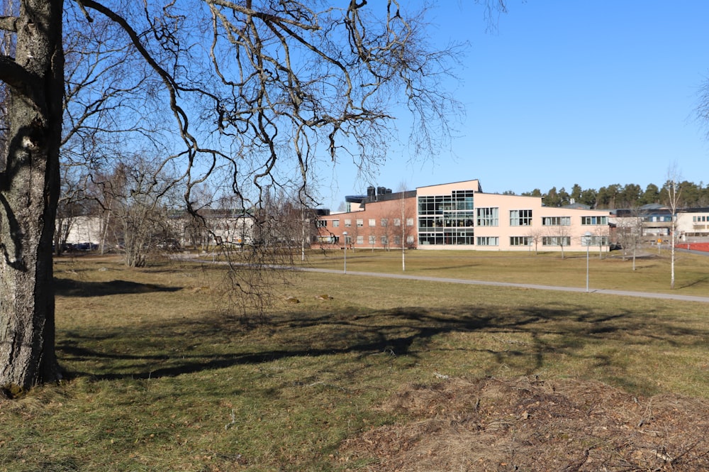 a view of a building from across a field