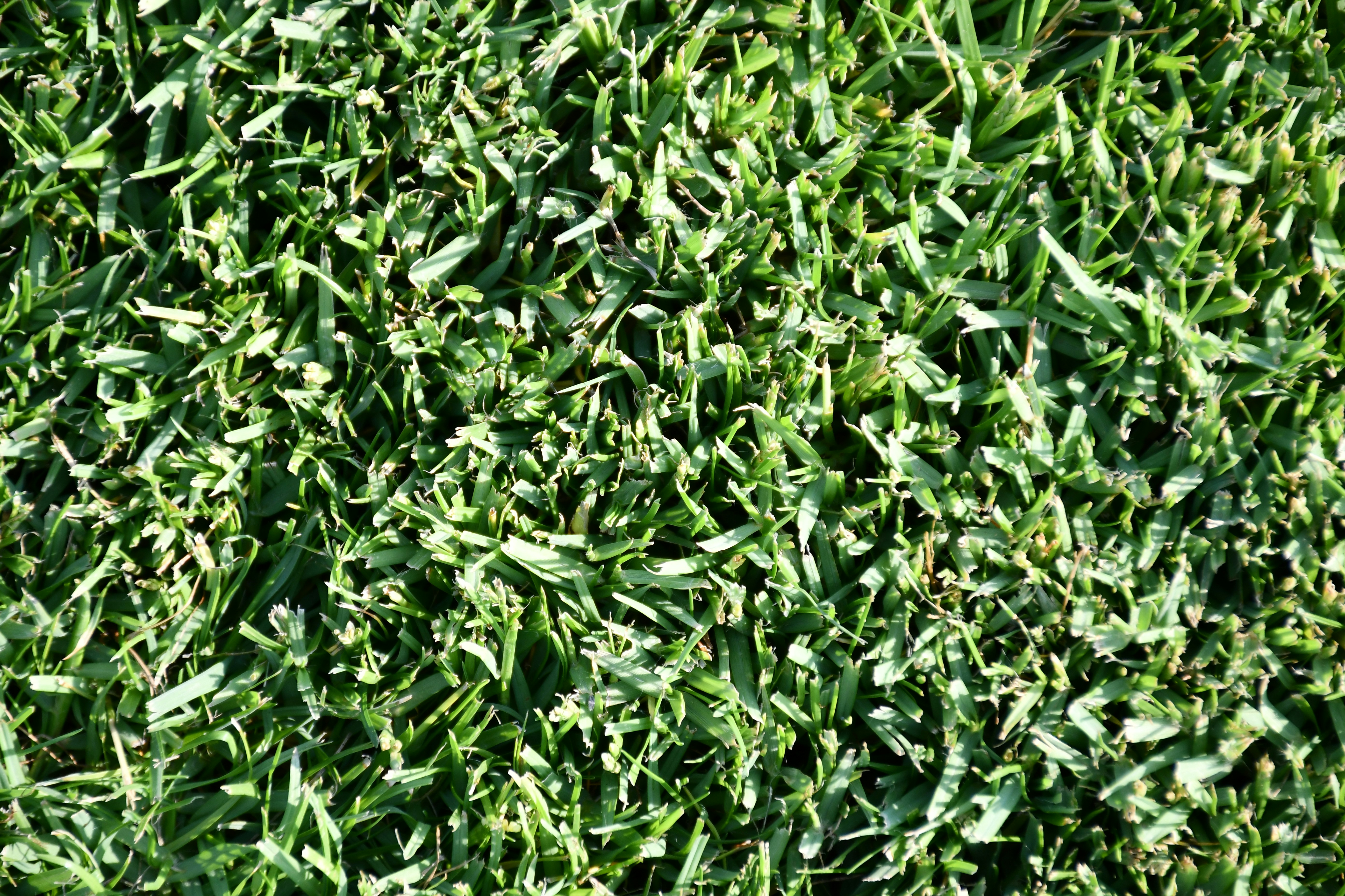 Photo by taraszhuravel