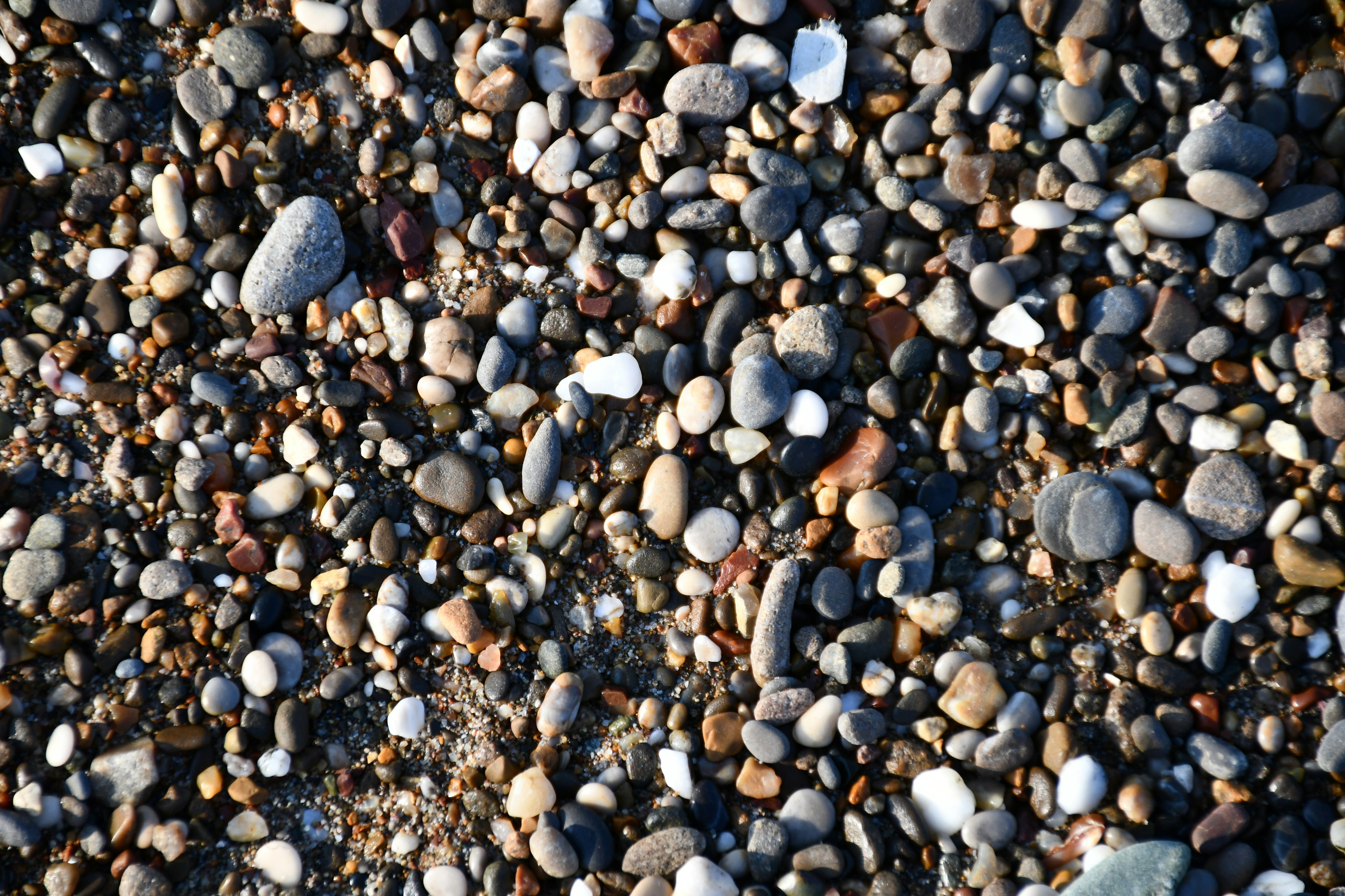 Photo by taraszhuravel