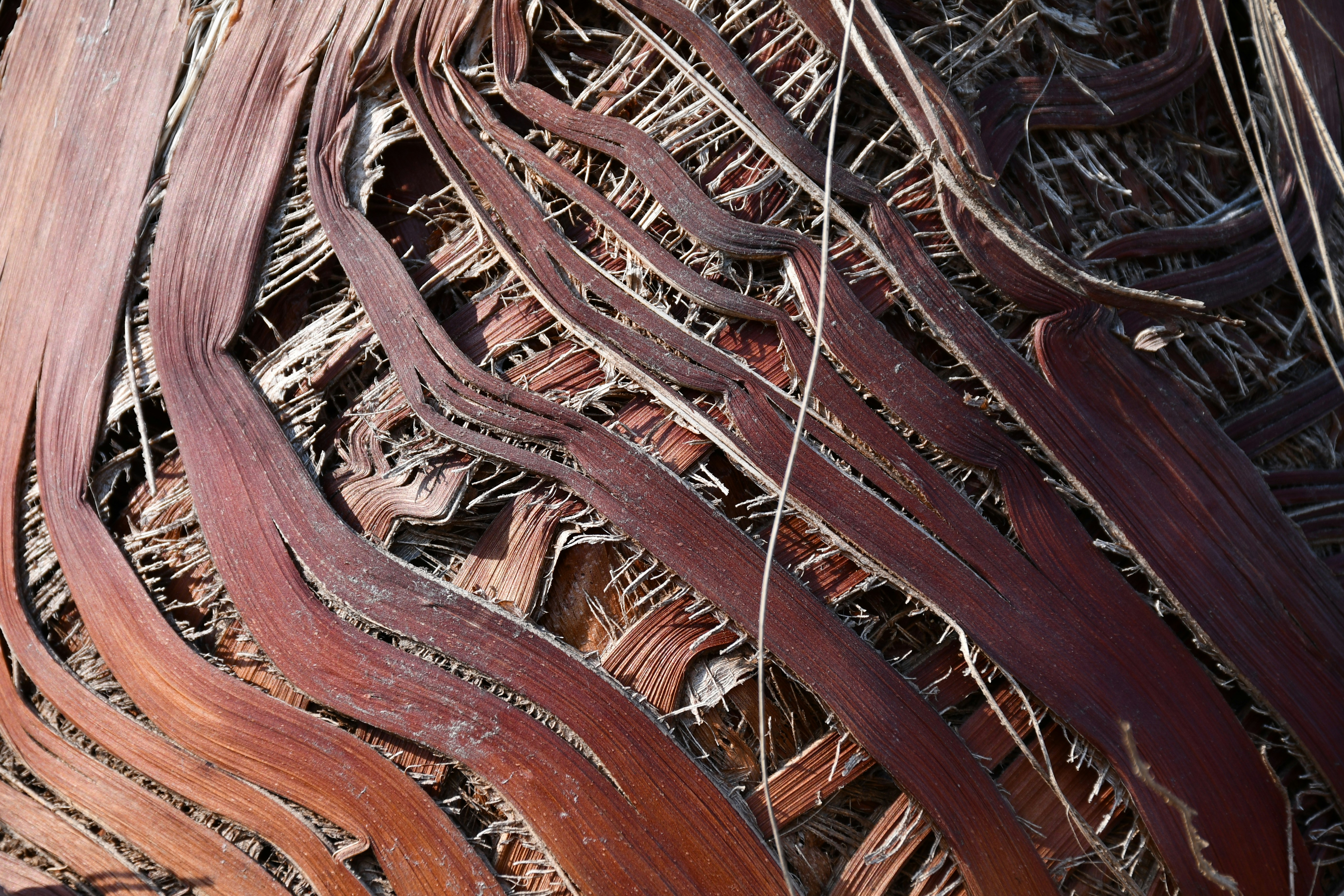 Photo by taraszhuravel