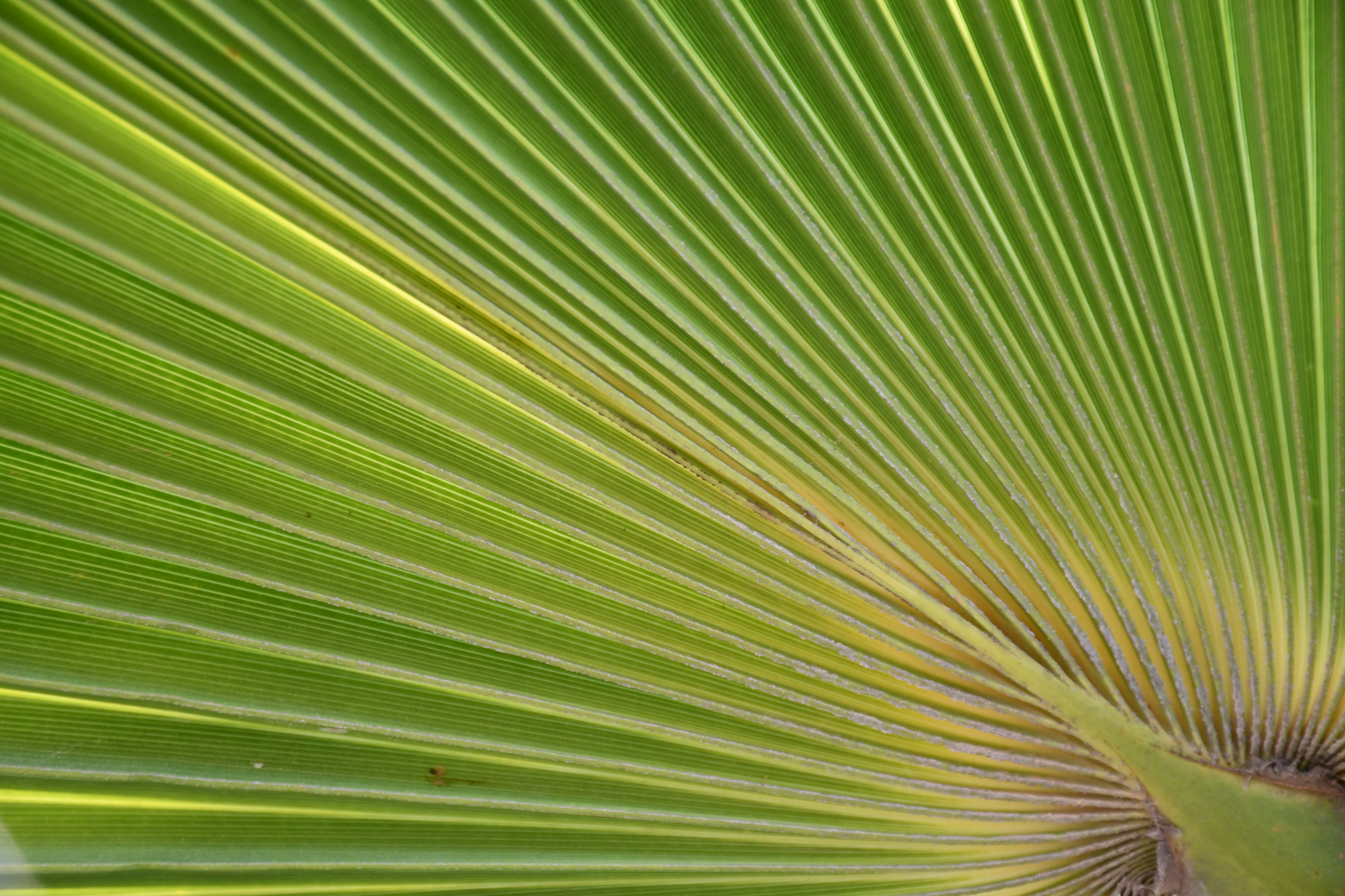 Photo by taraszhuravel