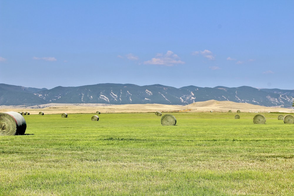 bales of hay in a field with mountains in the background