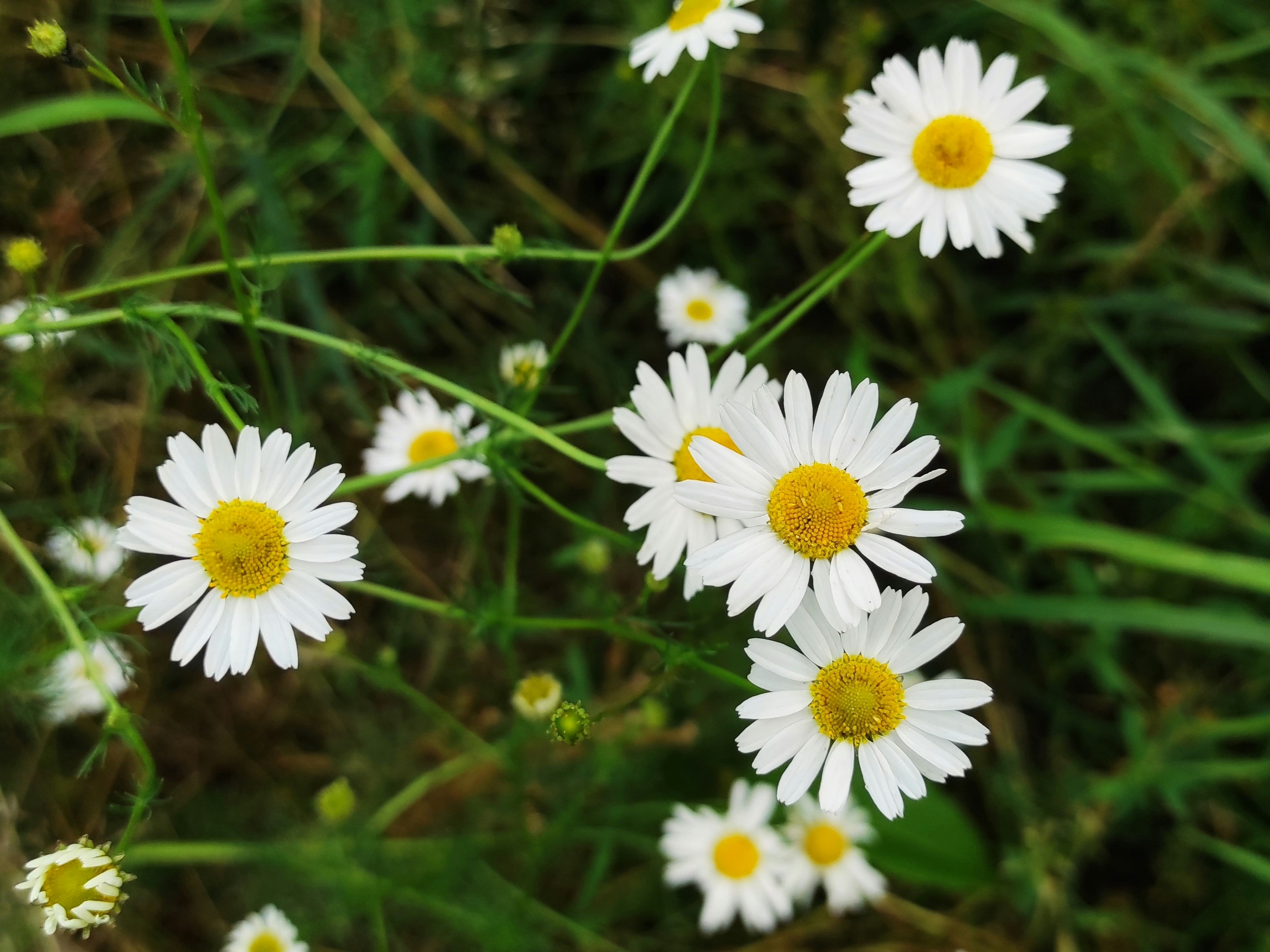 Photo by itskylebrooks