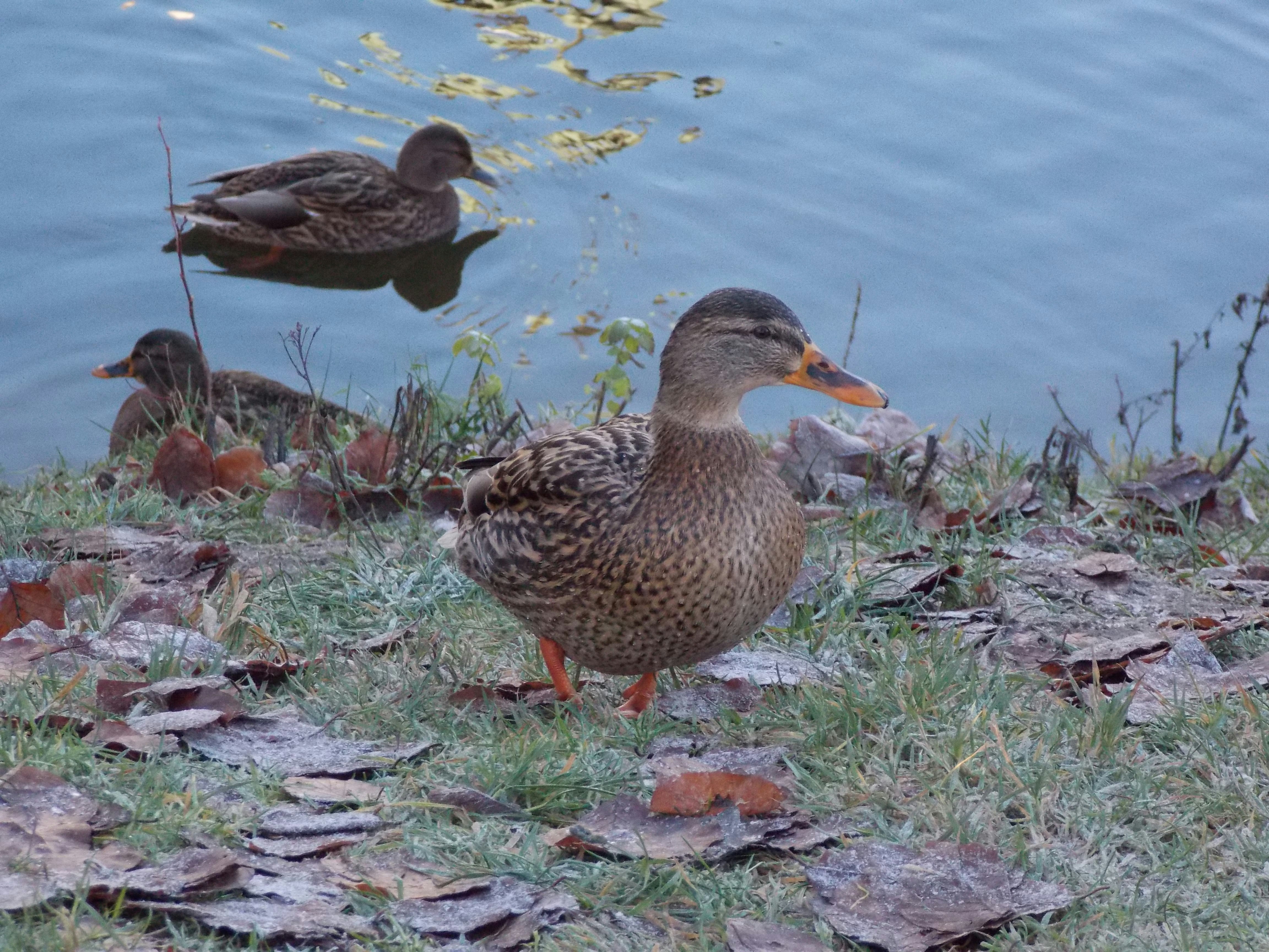 Photo by itskylebrooks