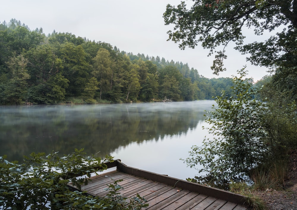 a wooden dock sitting on the side of a lake