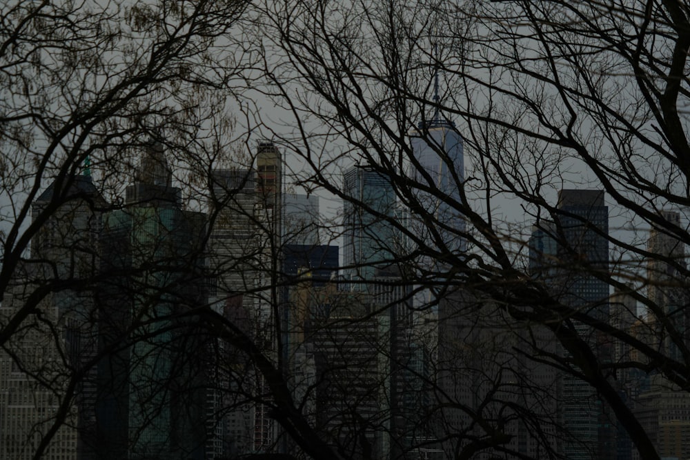 a view of a city skyline from a park