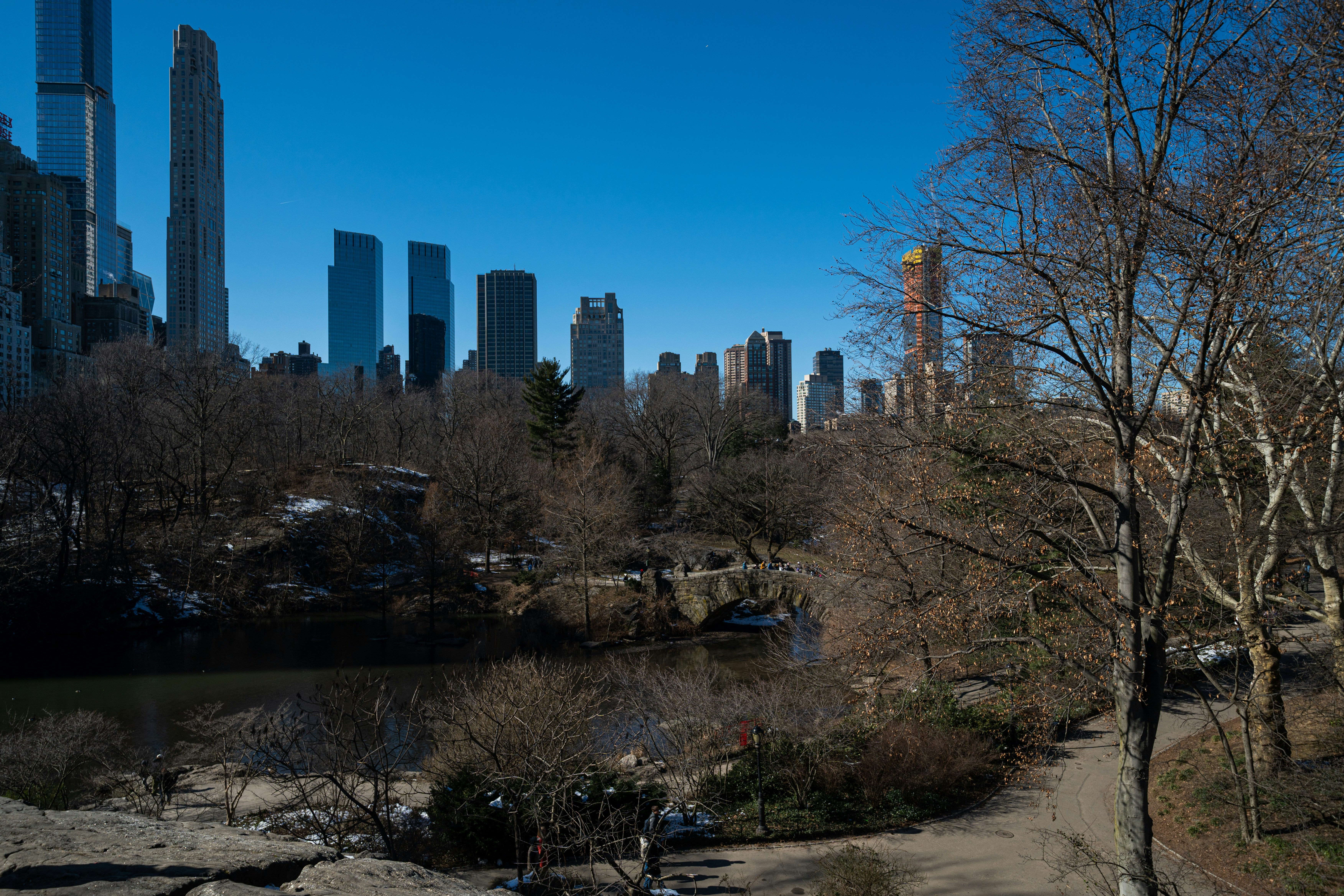 a view of a city skyline from a park
