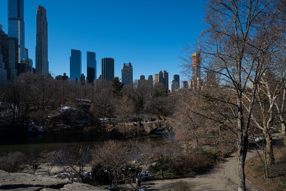 a view of a city skyline from a park