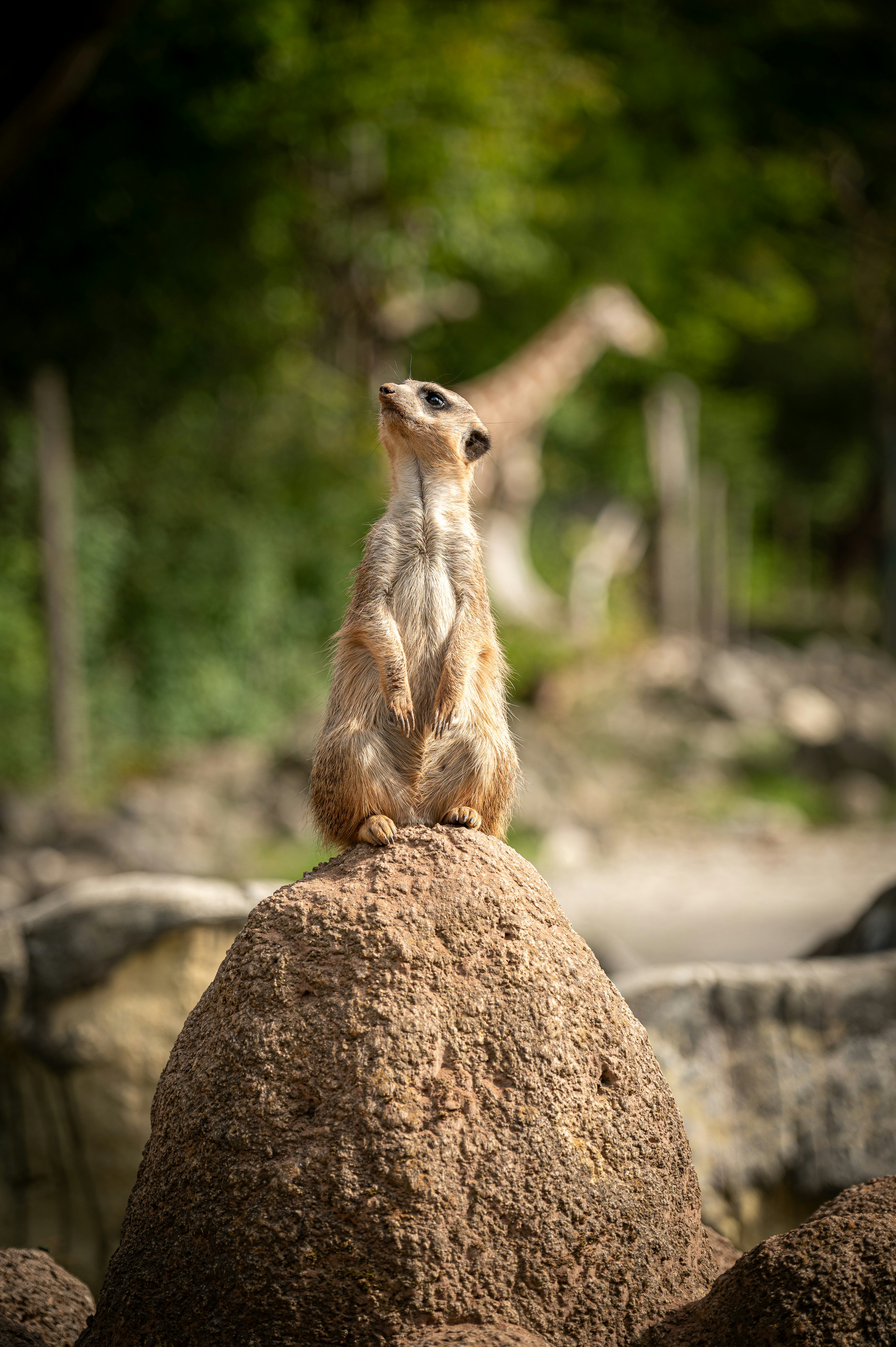 Photo by bayern_lens