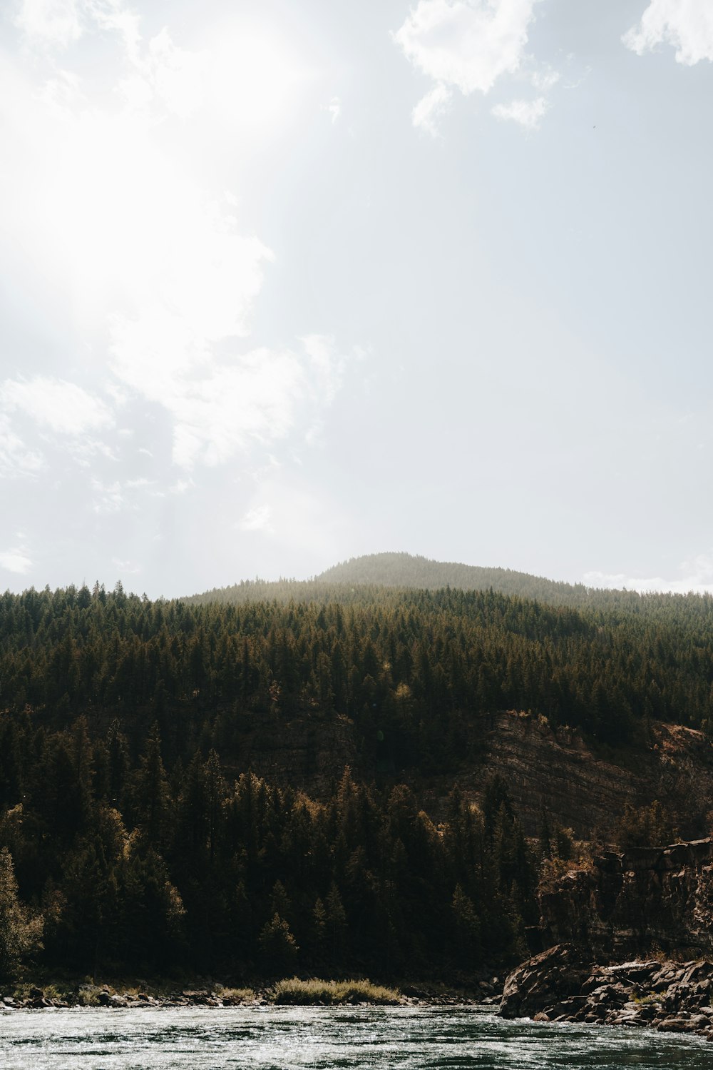 a boat floating on top of a river next to a forest