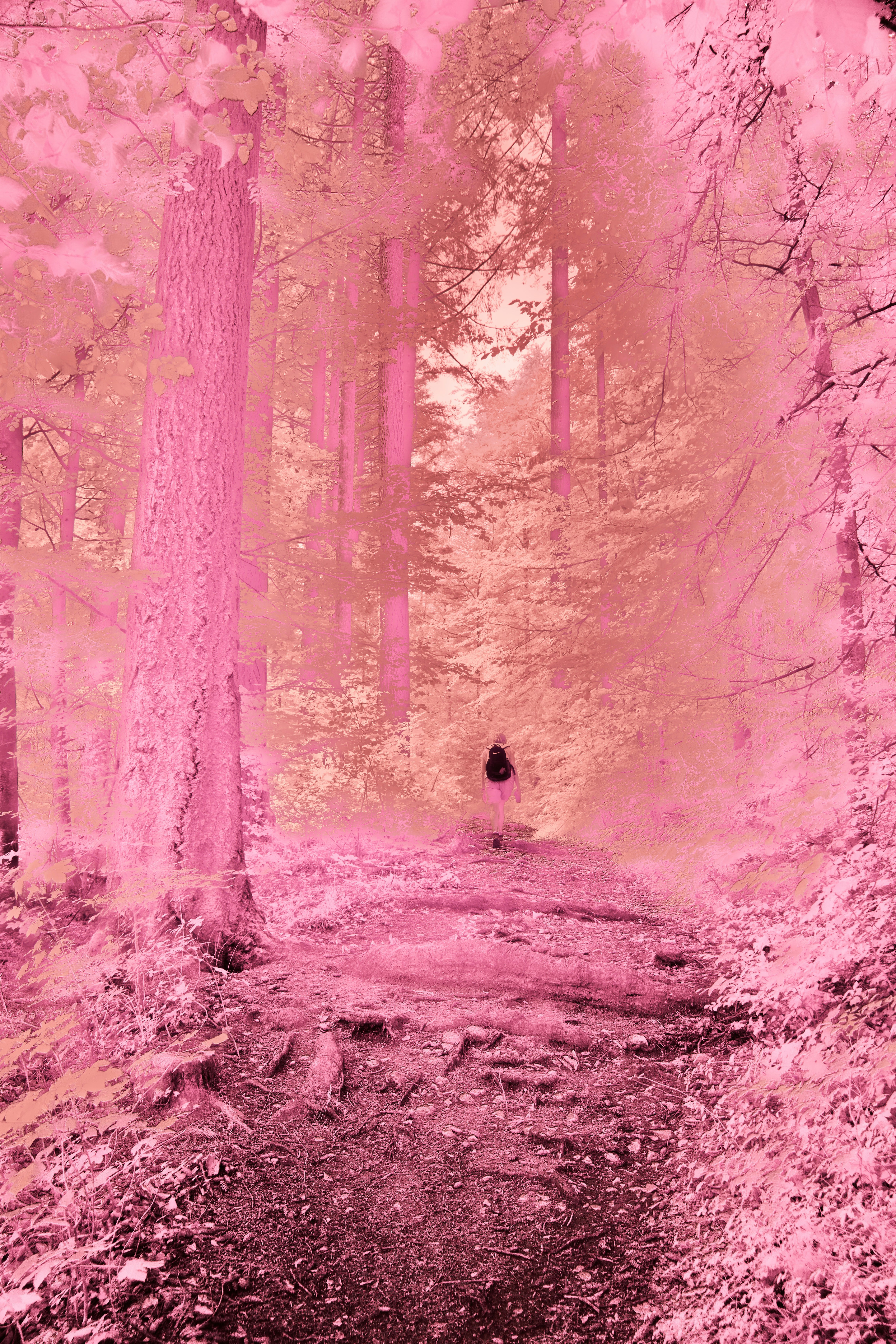 Photo by wolfgang_hasselmann