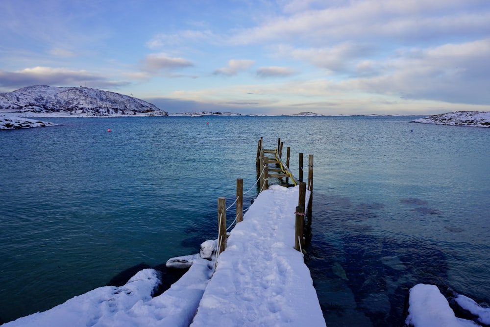 a wooden dock in the middle of a body of water