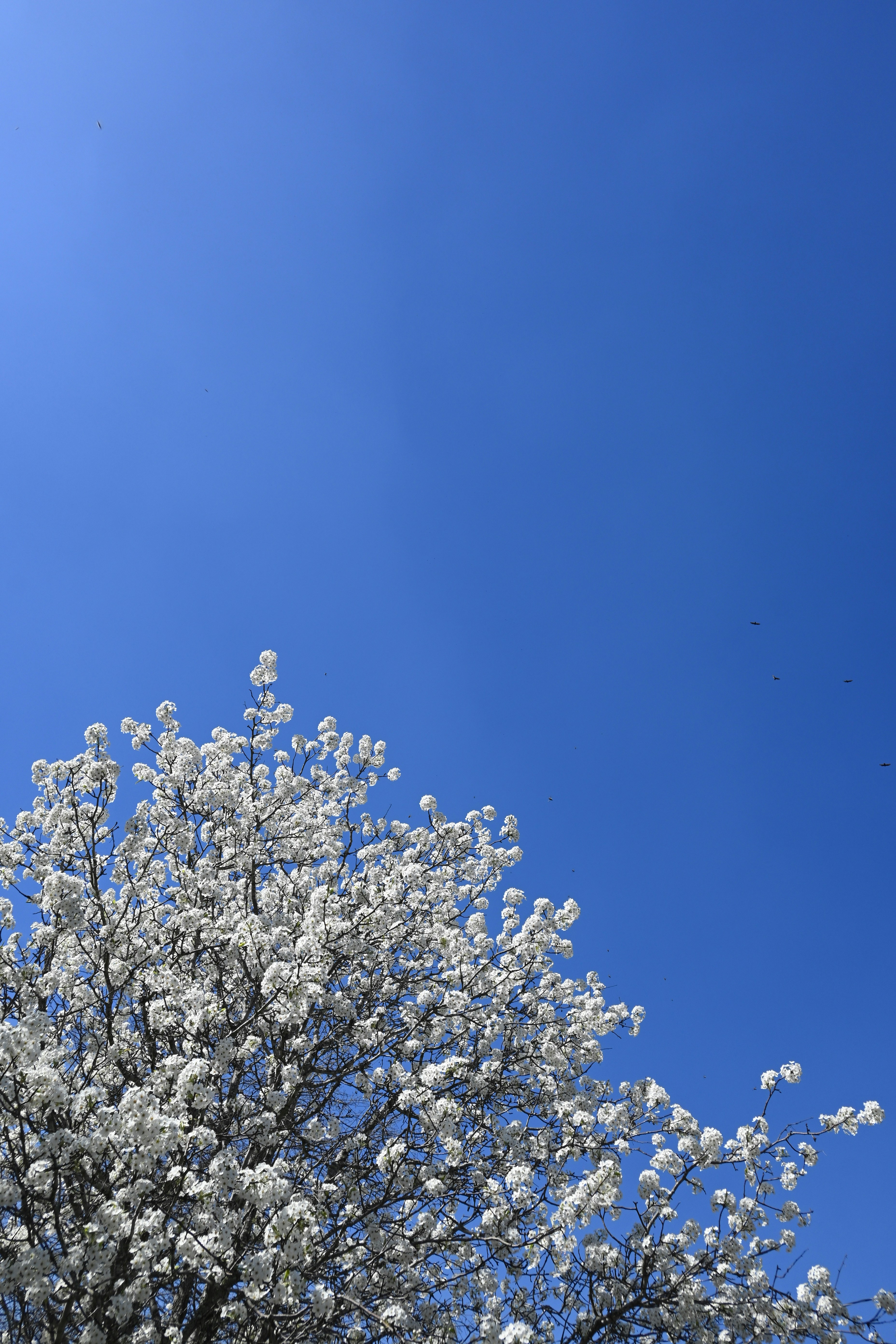 Photo by karolinabobek