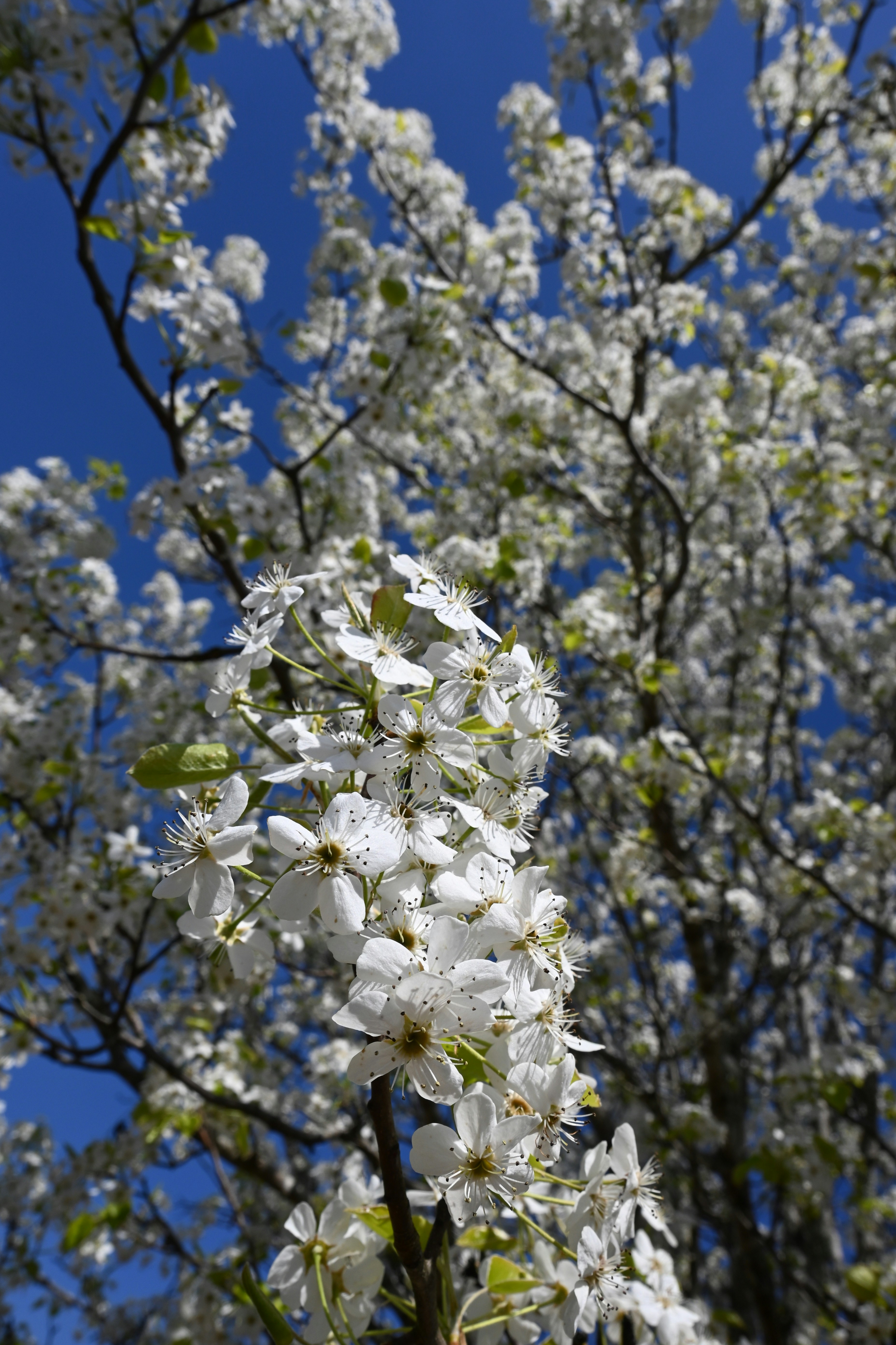 Photo by karolinabobek