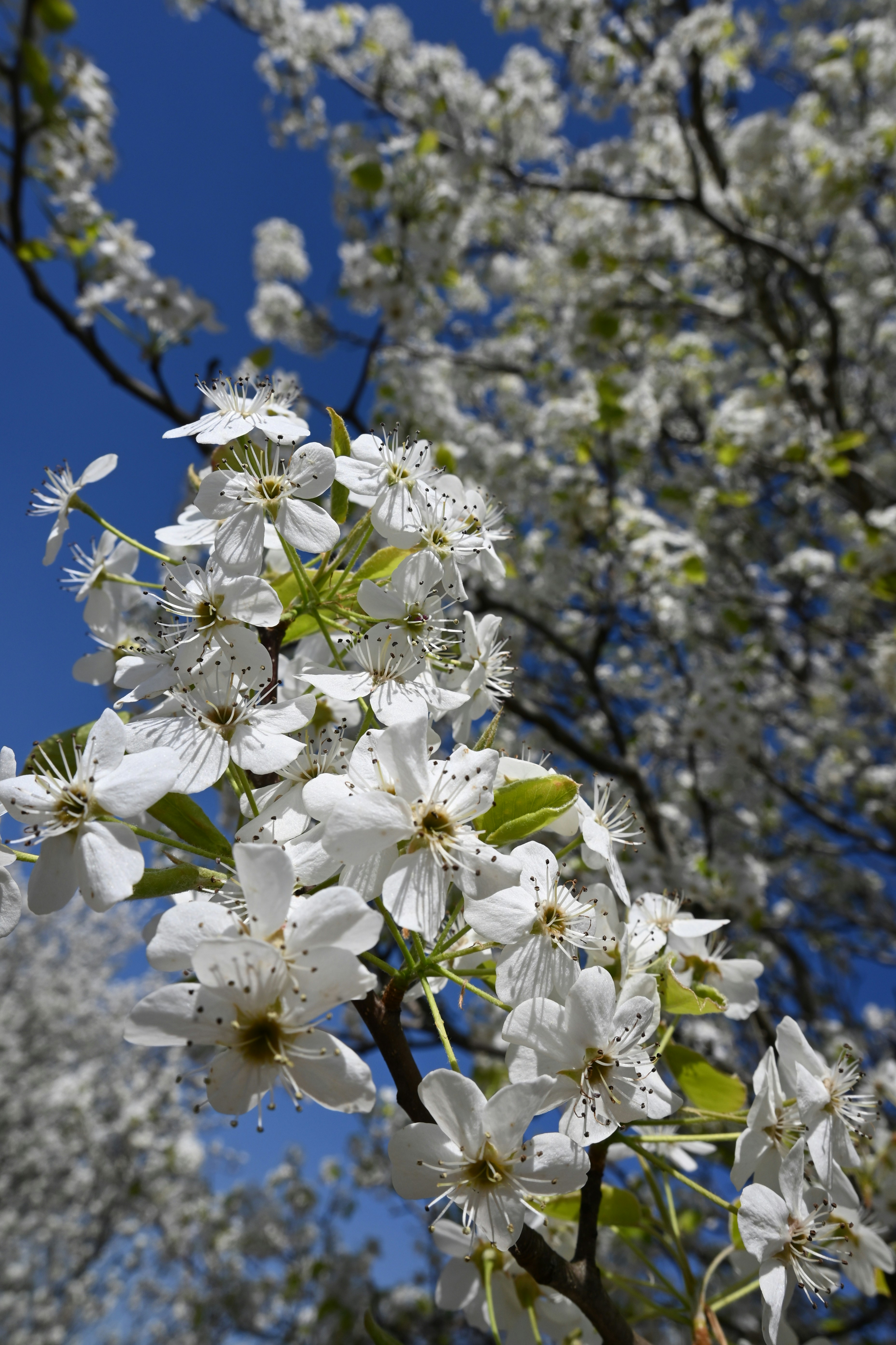 Photo by karolinabobek