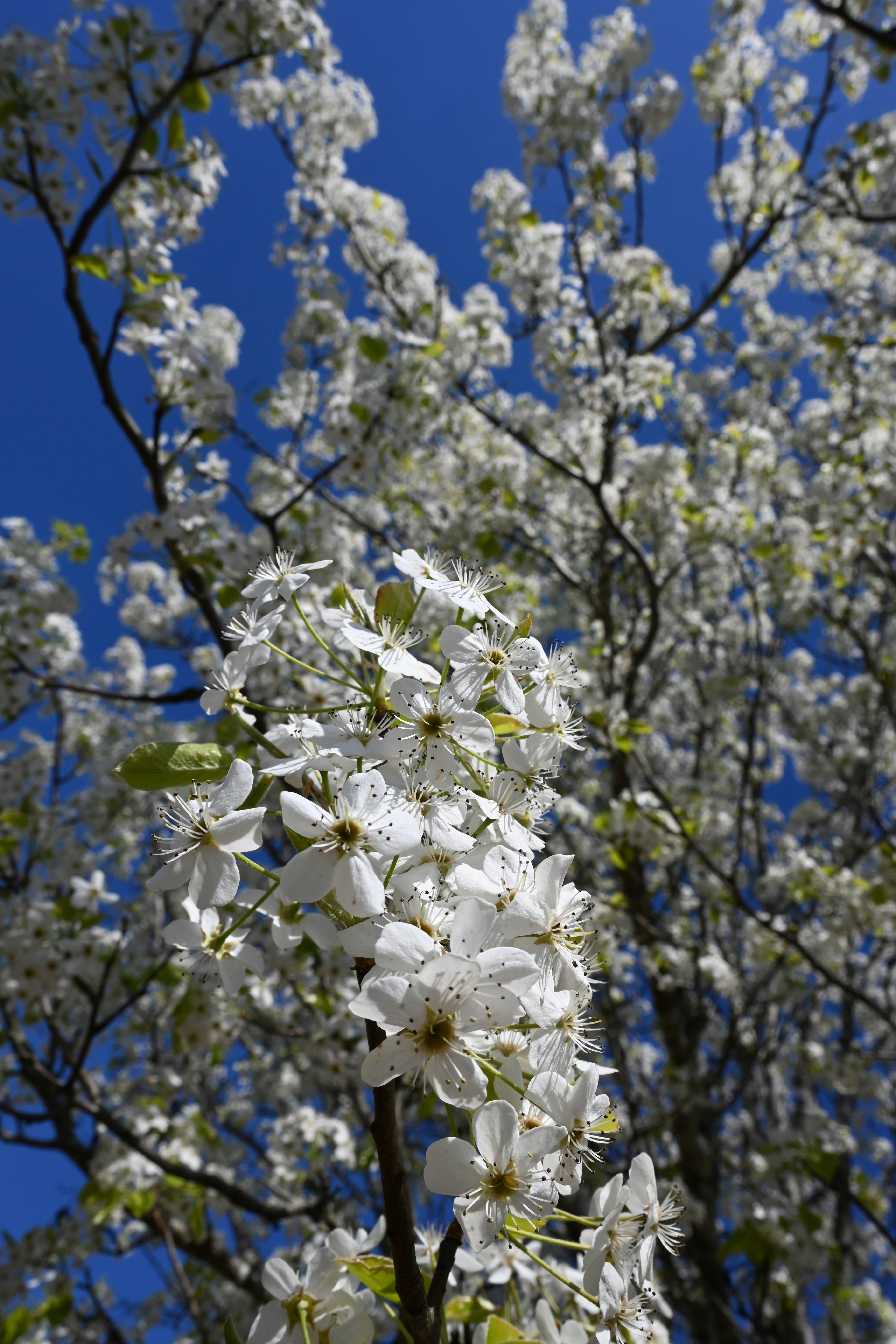 Photo by karolinabobek