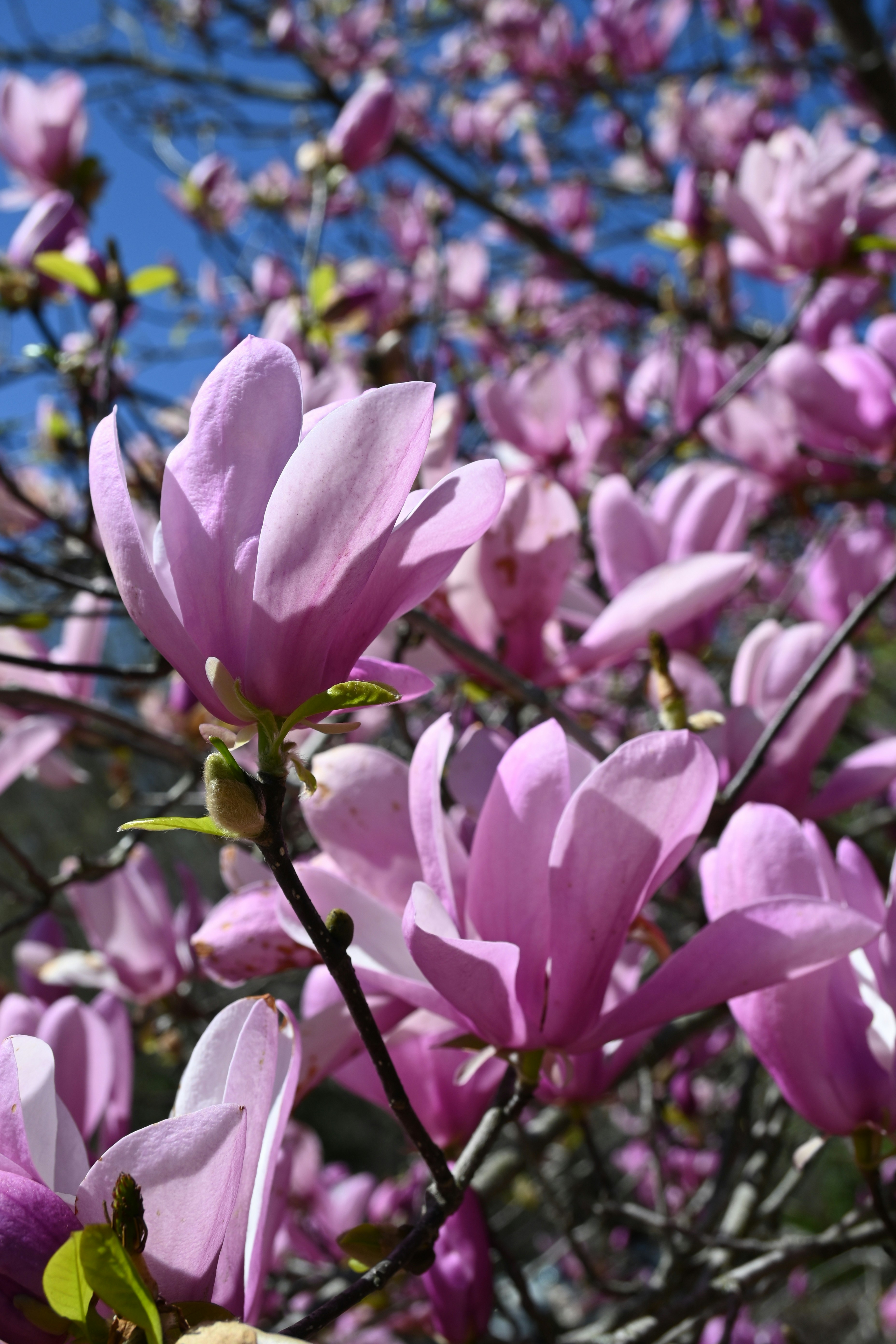 Photo by karolinabobek