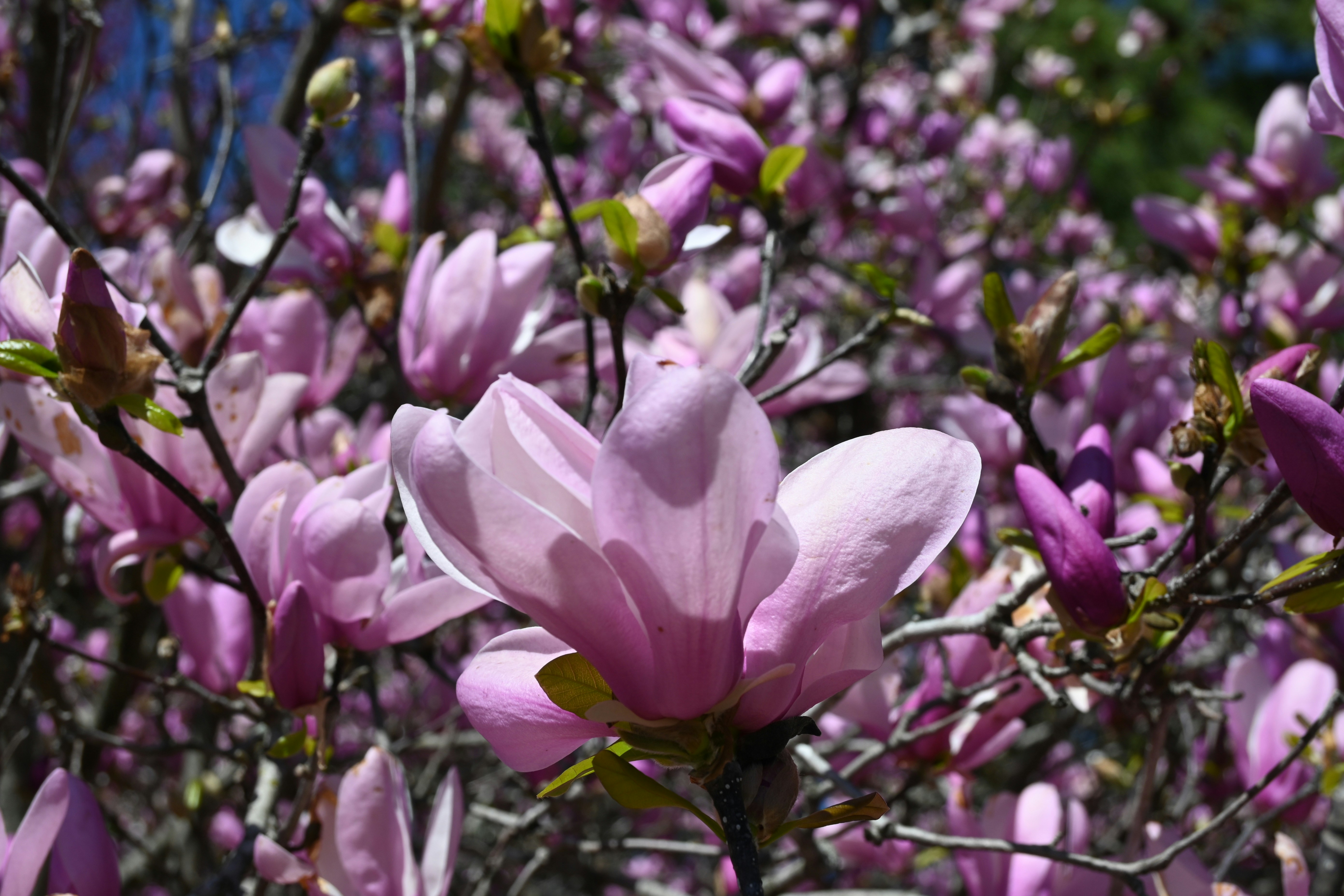 Photo by karolinabobek